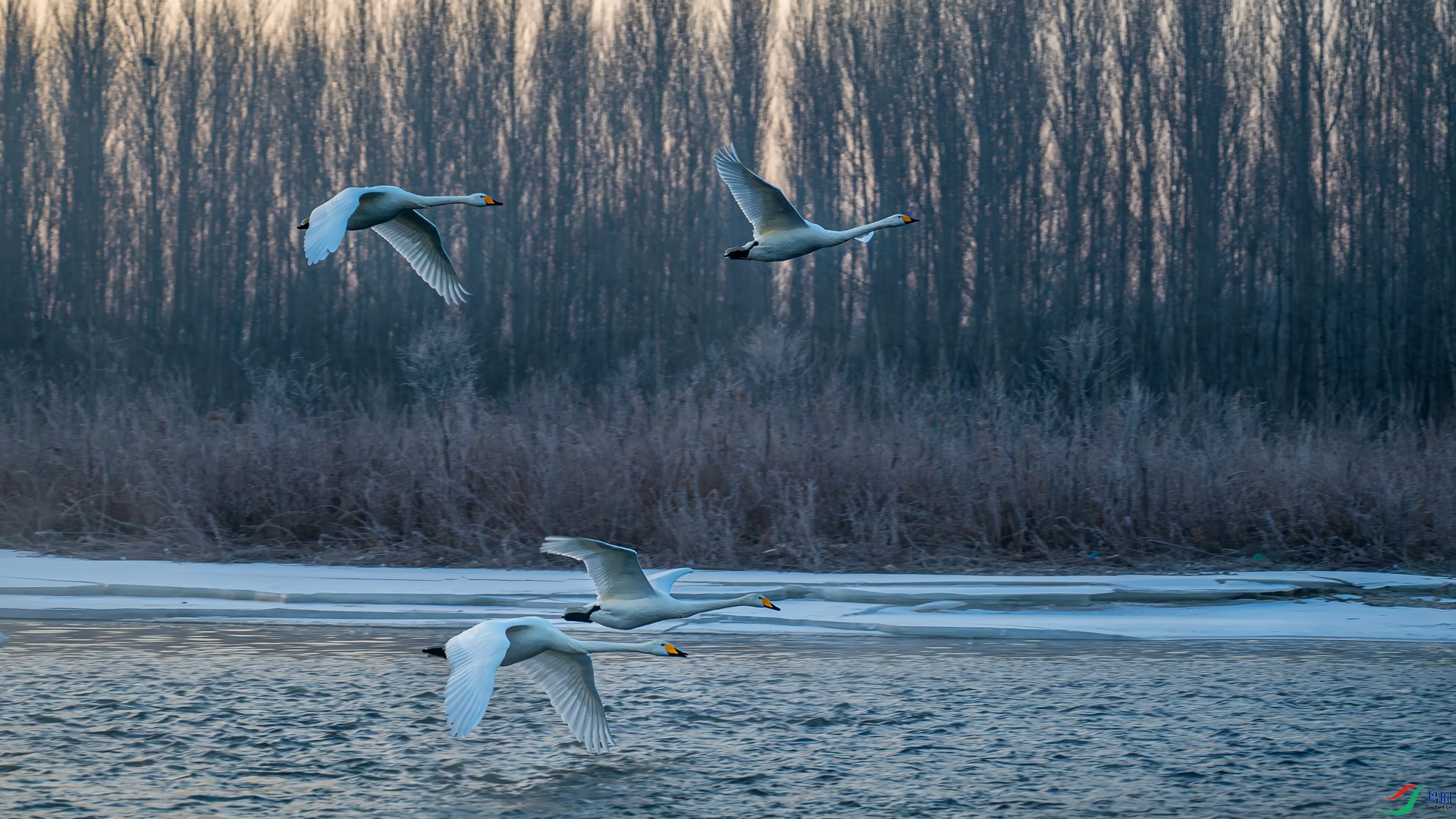 _DSC1369==1w.jpg