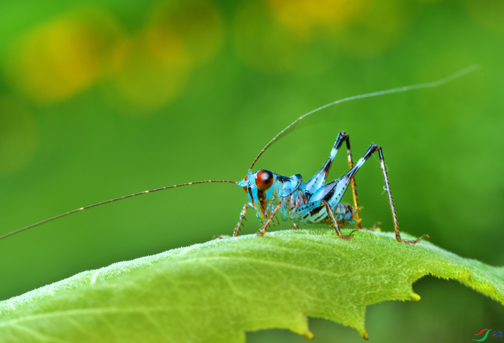 DSC_1453 ����.jpg