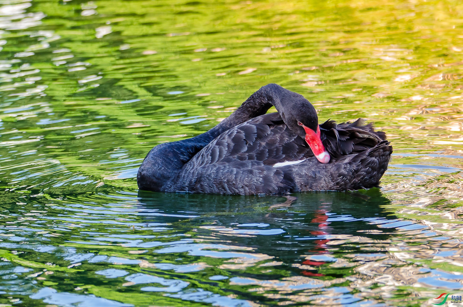 DSC_1260.jpg