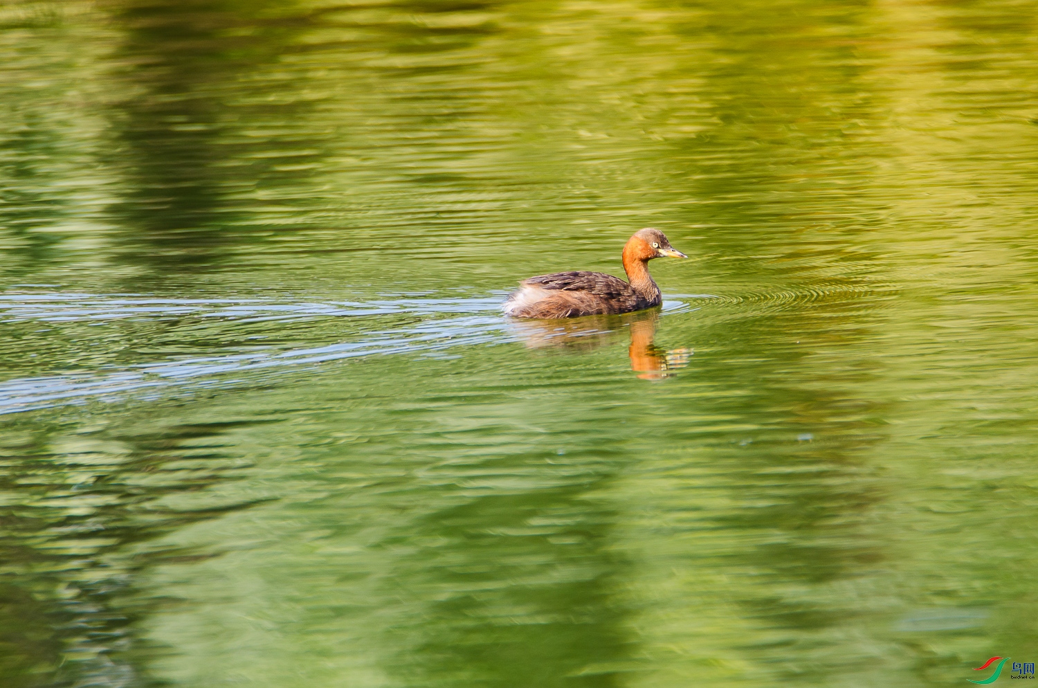 DSC_1223.jpg