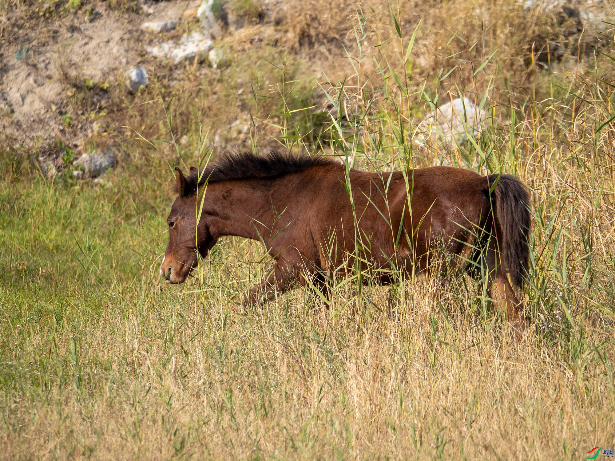 PA102645.jpg