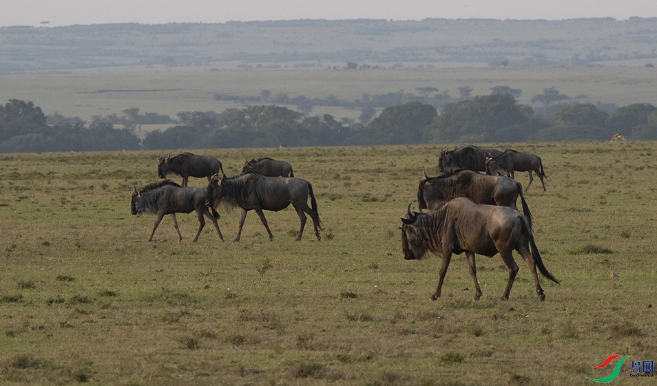 ���� (3).jpg