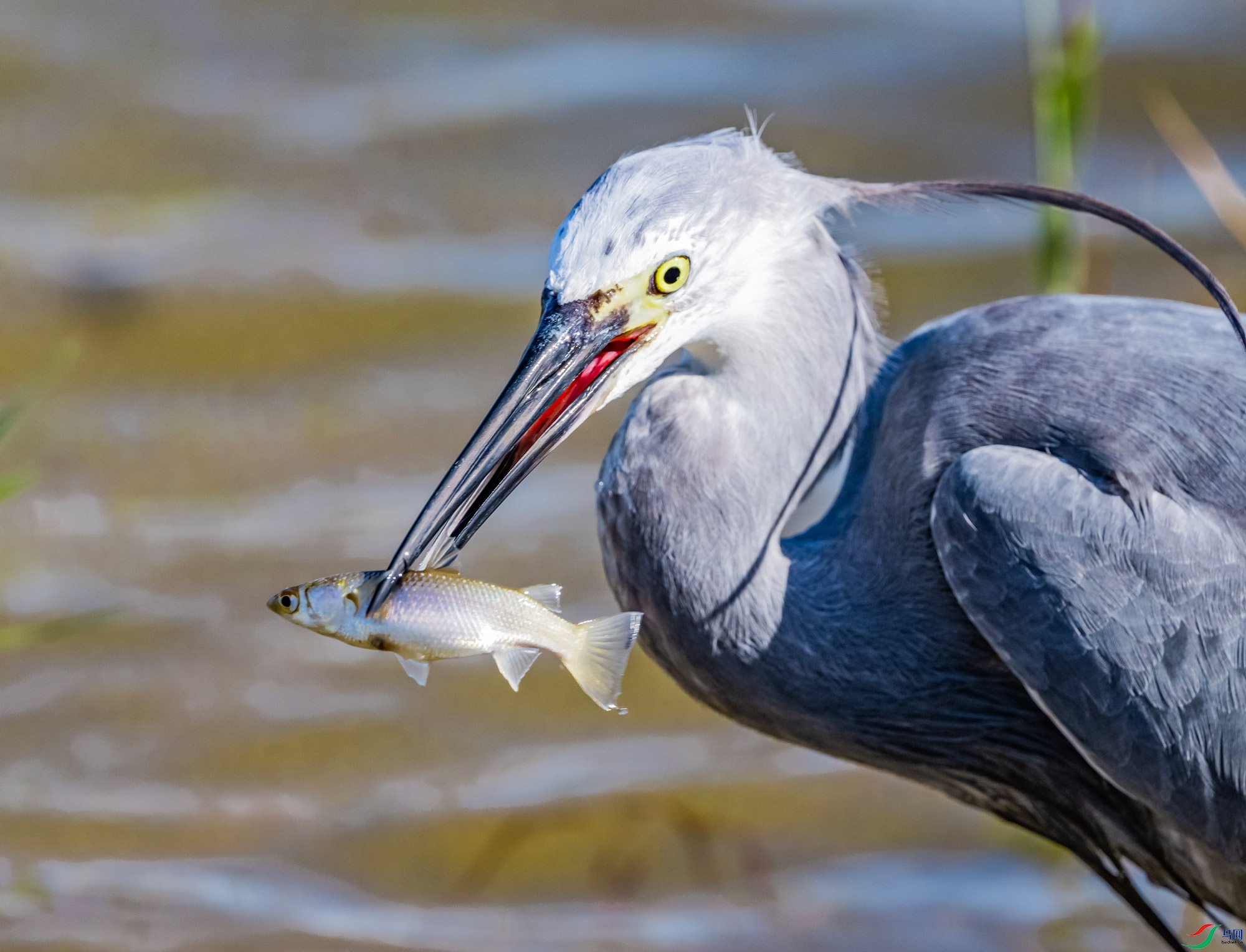 2023��ĻҰ���