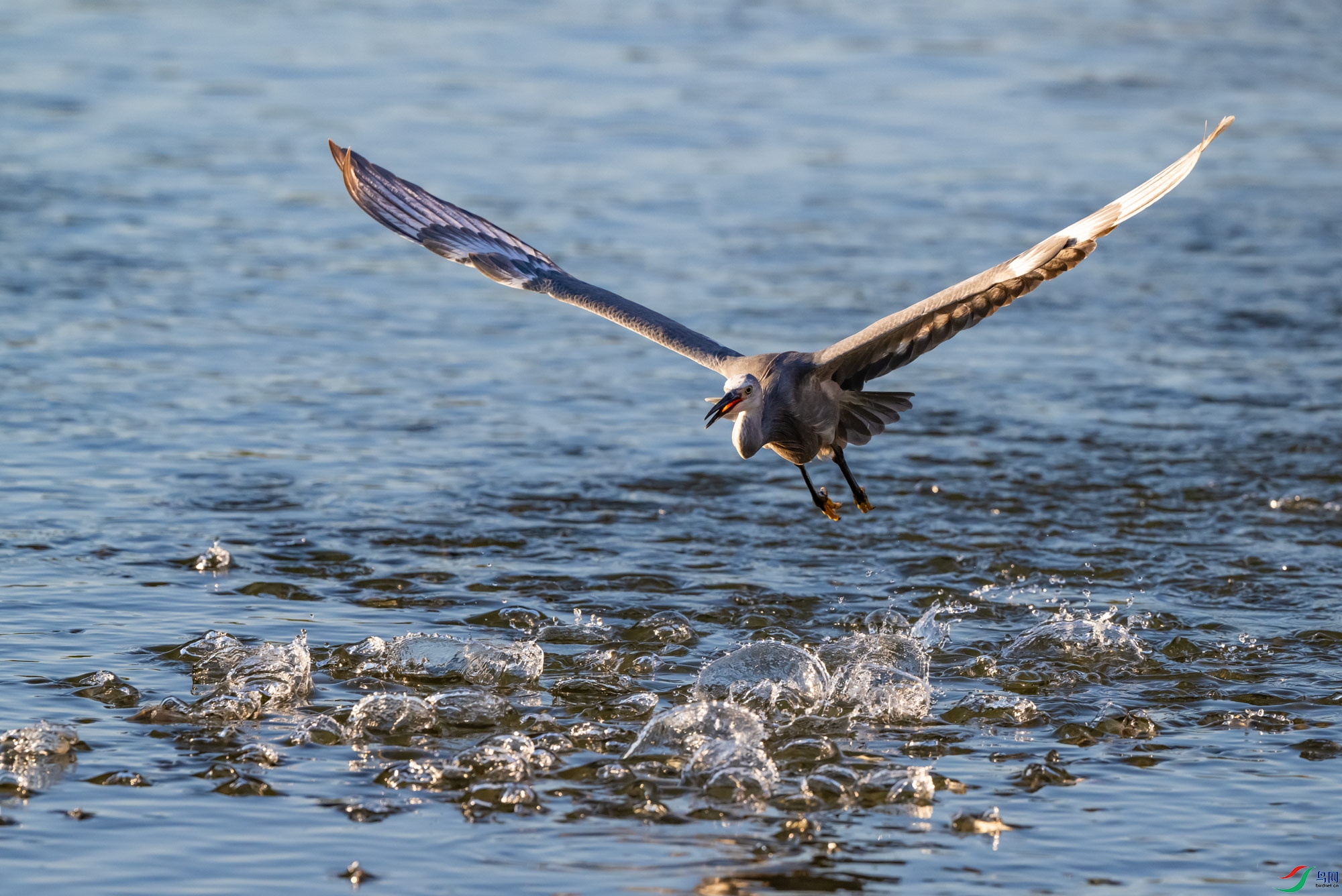 2023��ĻҰ���