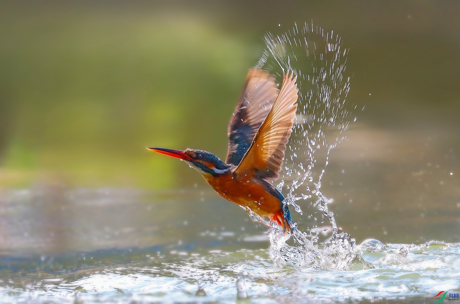 _2512 ���� 3.jpg