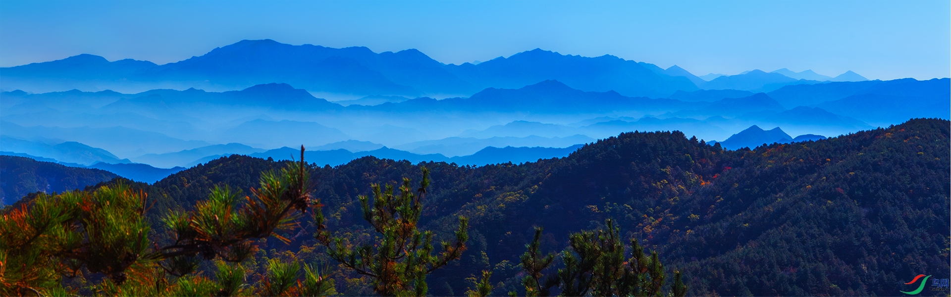 1319jpg ����.jpg