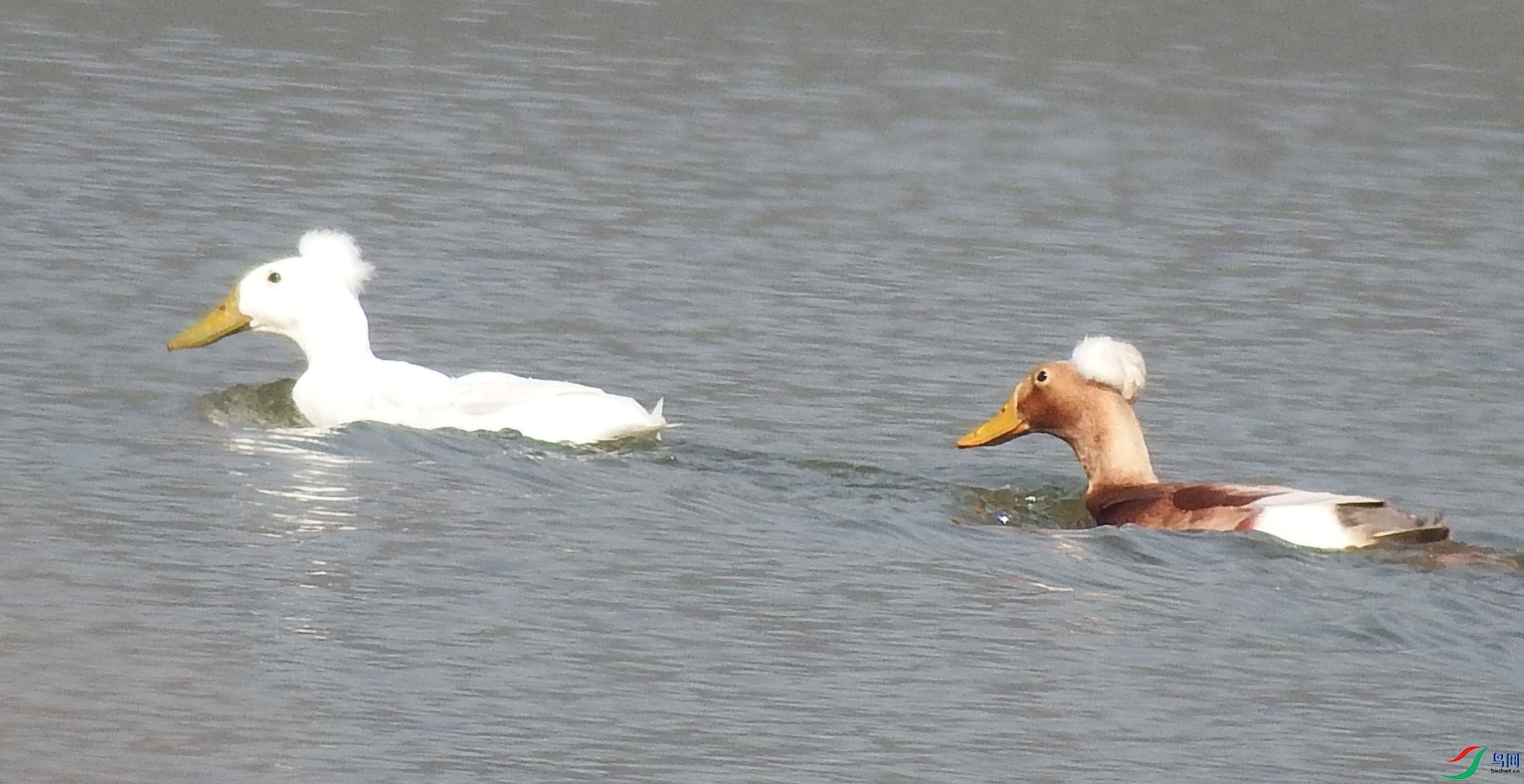 ������ 0.jpg