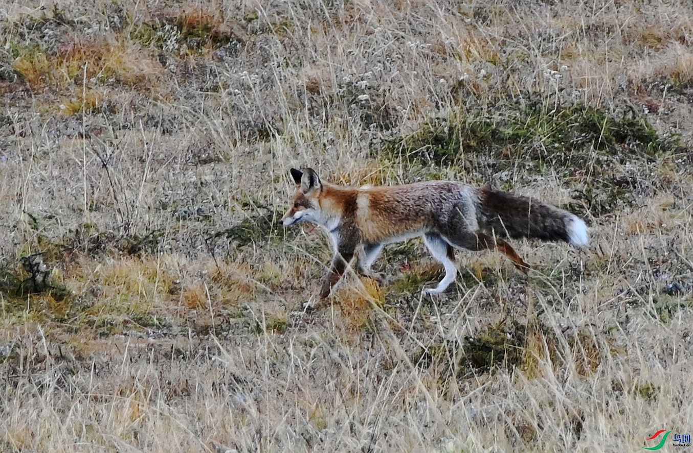 DSC_2077_����x.jpg