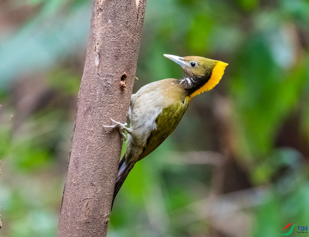 DSC_4045.jpg