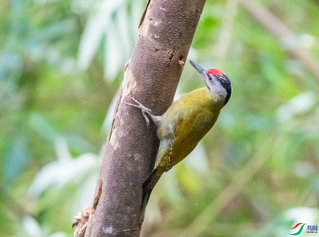 DSC_3237.jpg