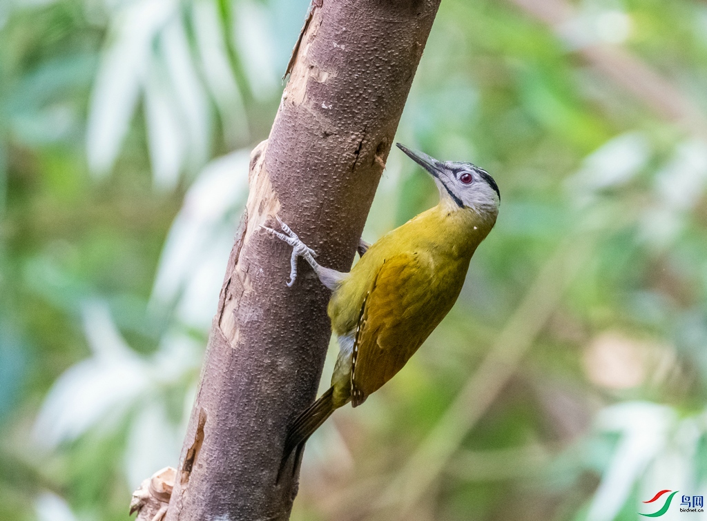 DSC_3847.jpg