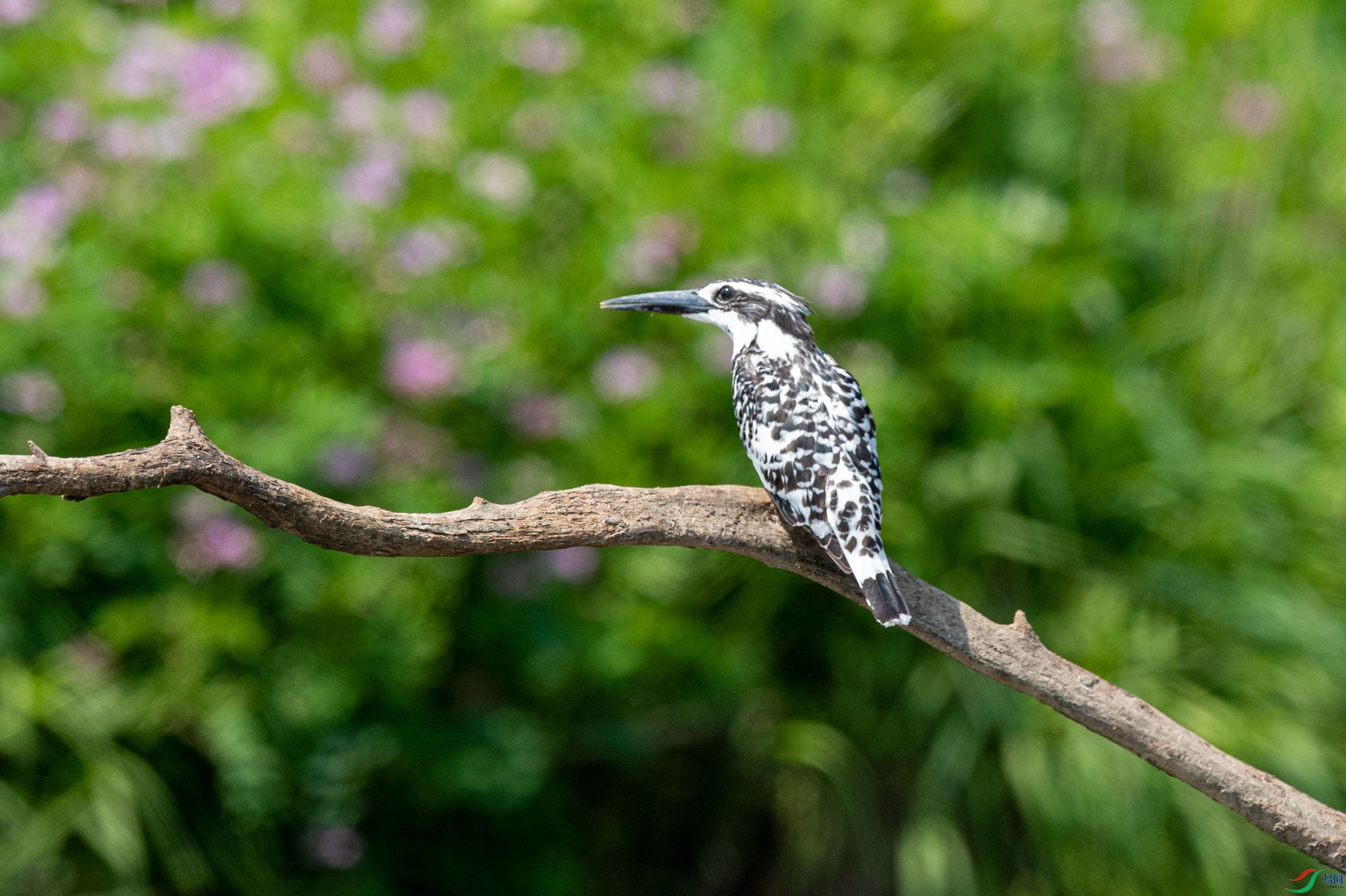 AAE_0039.jpg