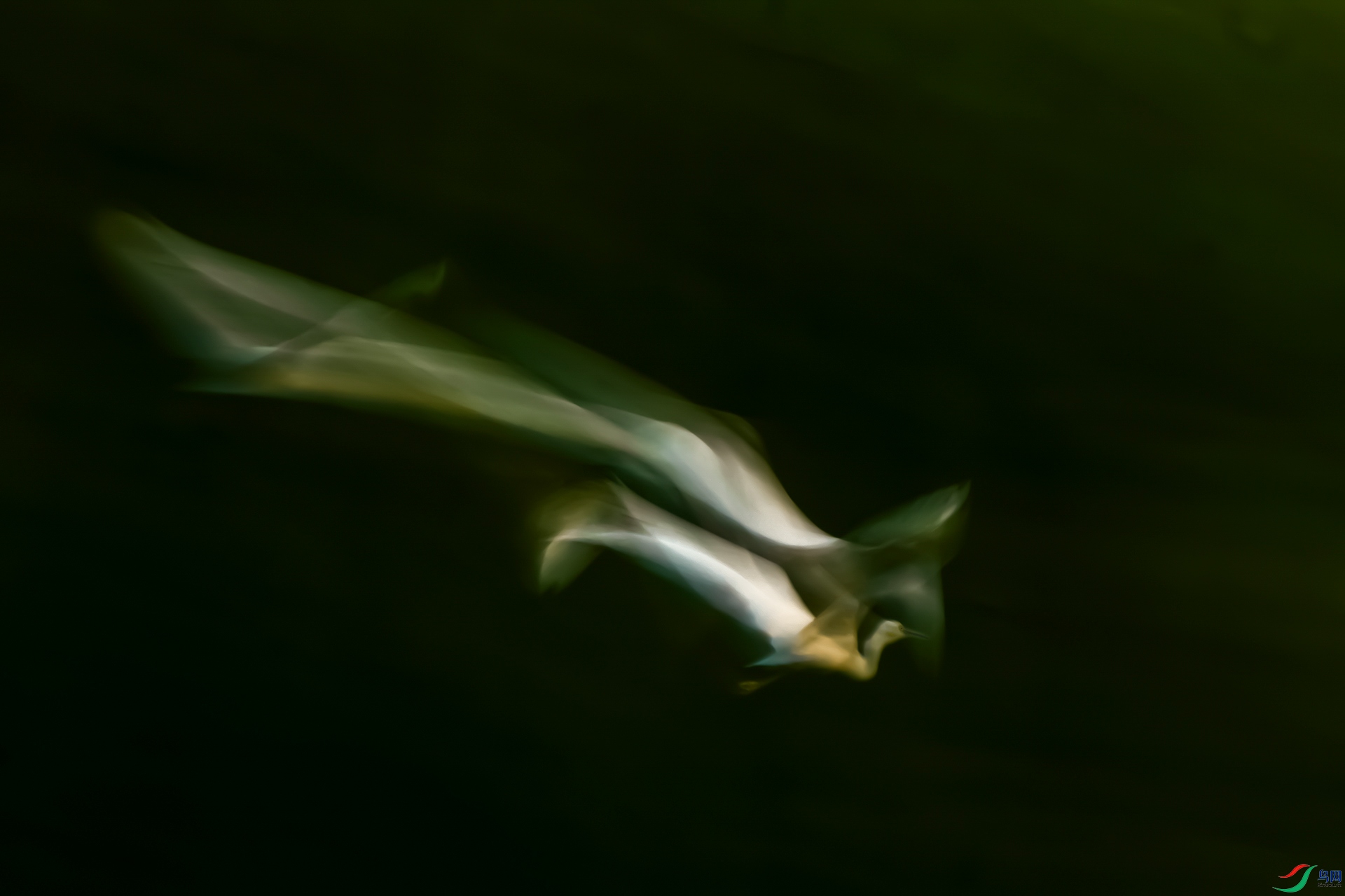 ���ط���