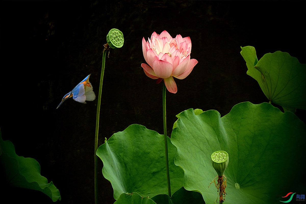 IMG_2381 ��ѹ����.jpg