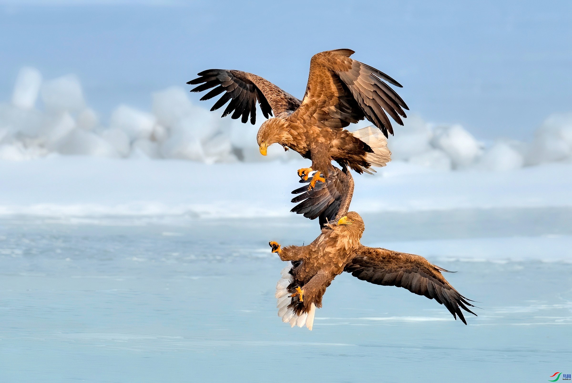 10.23����������ʦ��Ʒ   ���в���  �ٻ�2023��10��23��ÿ��һͼ.jpg