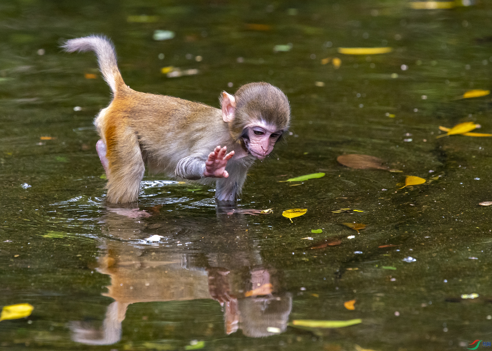 5819 ����.jpg