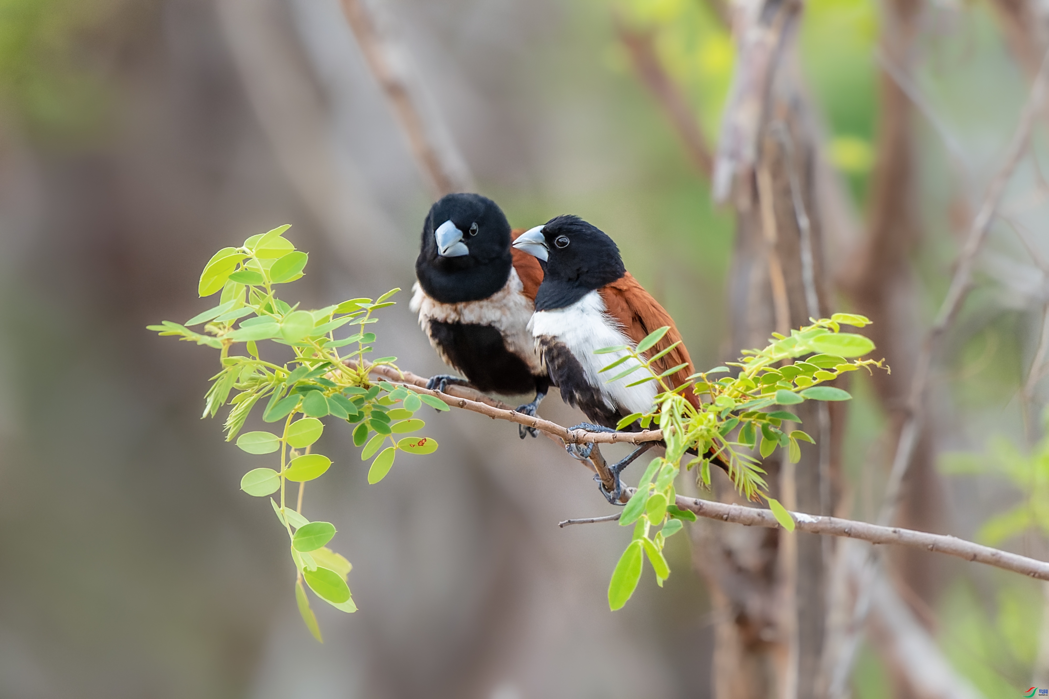 10.28������ʦ��Ʒ   ̸��˵��   �ٻ�2023��10��28��ÿ�ռ���.jpg