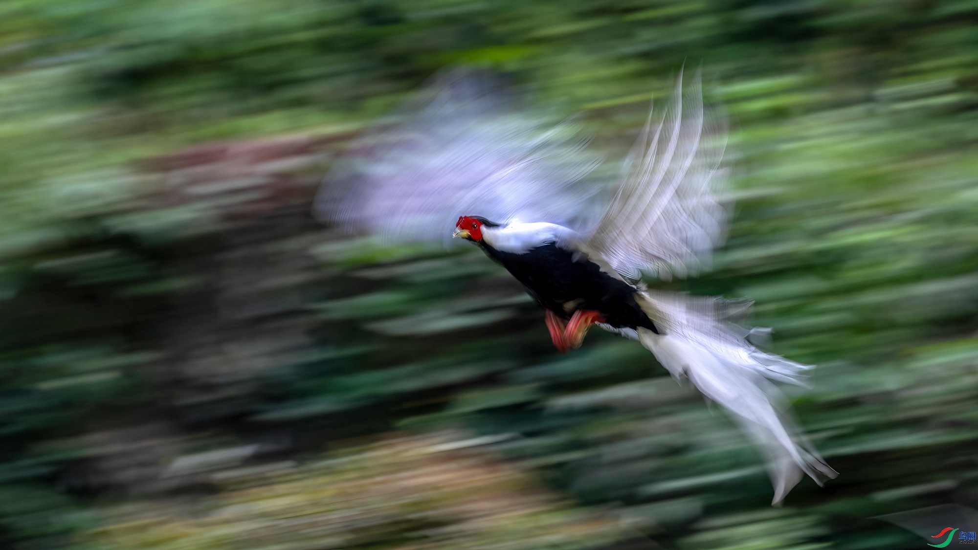 10.22�����ʦ��Ʒ   �趯  �ٻ�2023��10��22����Ӱʦ��ҳ����.jpg