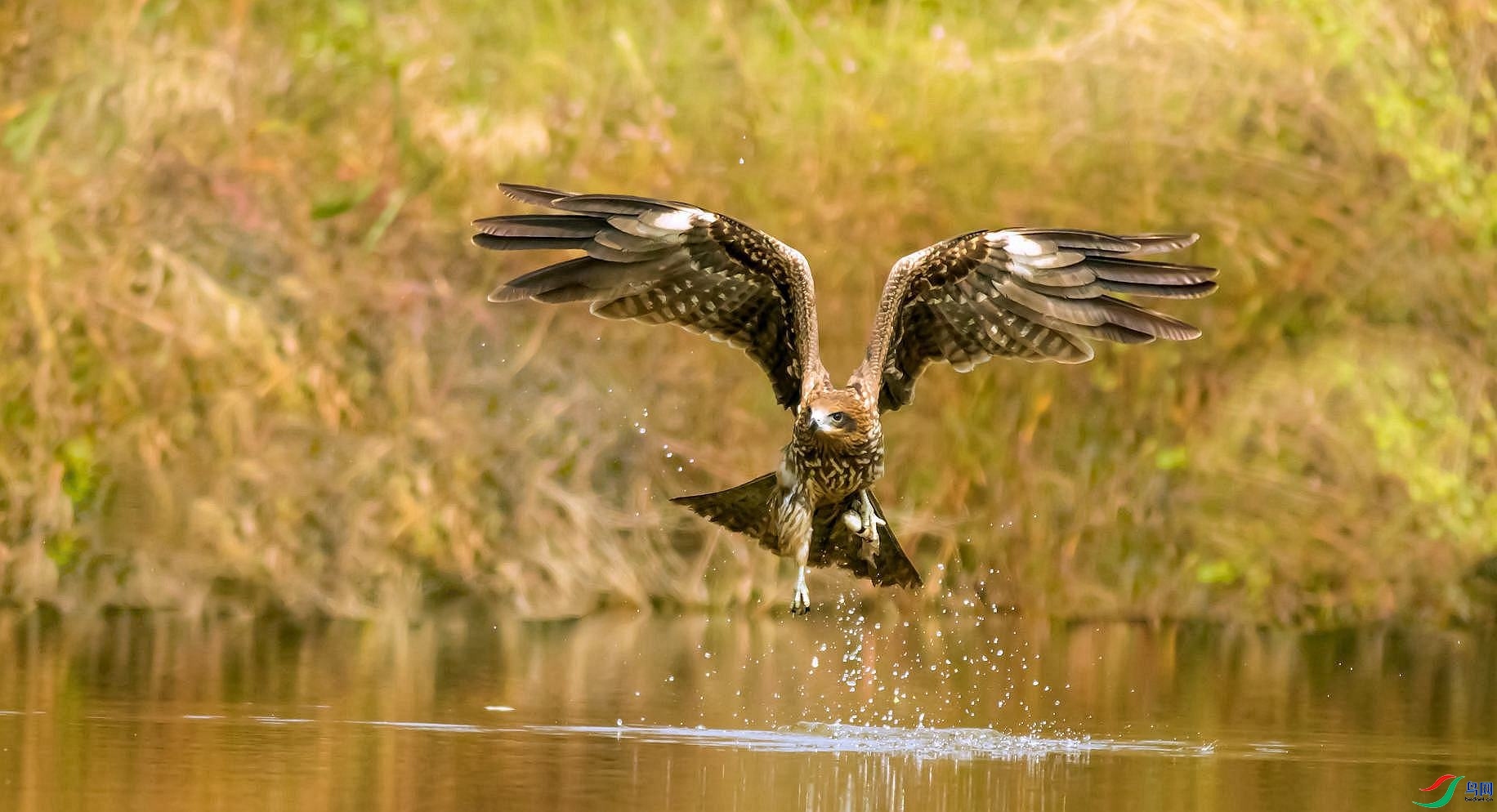 10.23�ٽ���ʦ��Ʒ  �ڶ��   �ٻ�2023��10��23����Ӱʦ��ҳ����.jpg