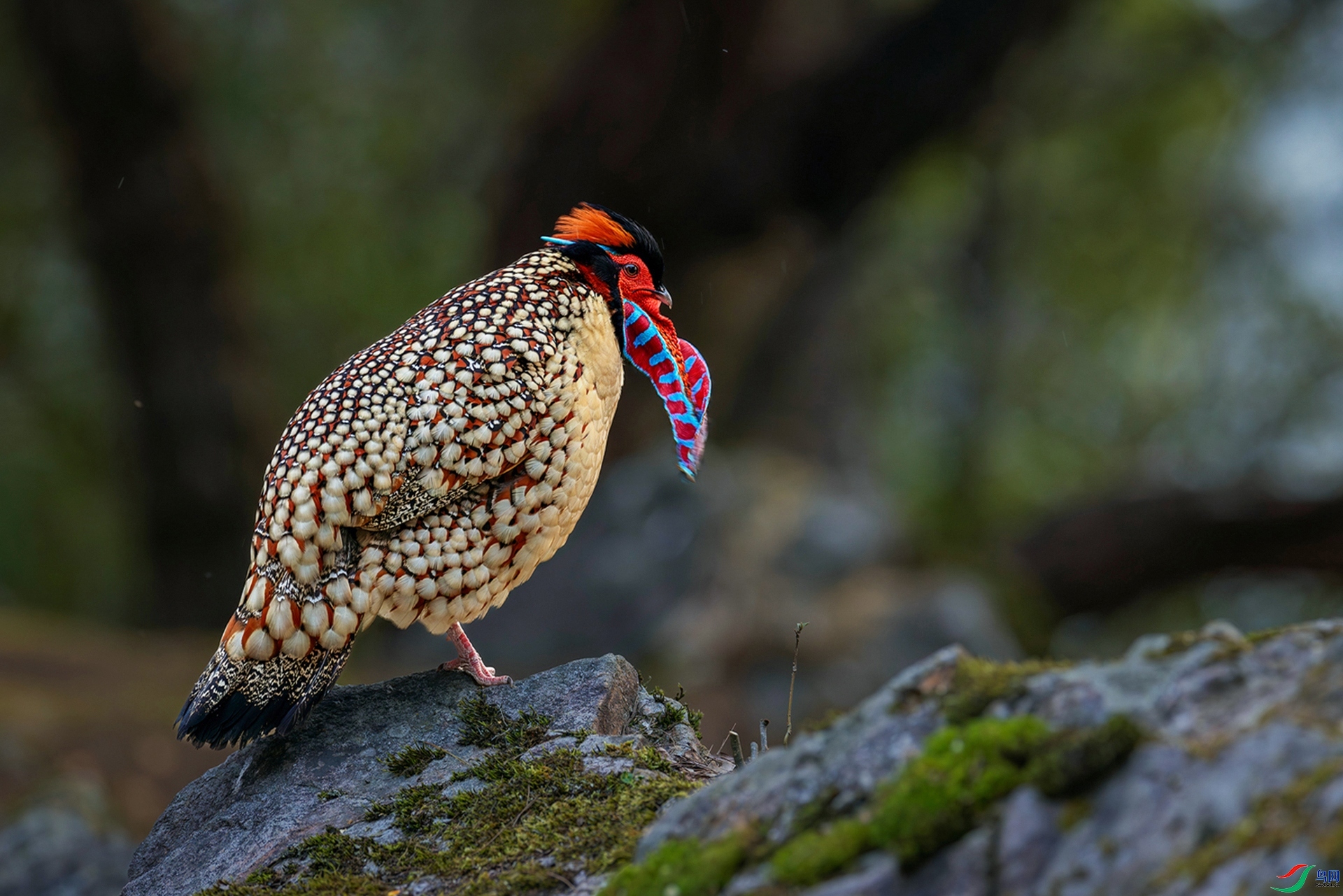 10.23Դ����Ȼ��ʦ��Ʒ  �������ʺá�   �ٻ�2023��10��23�հ�����ҳ����.jpg