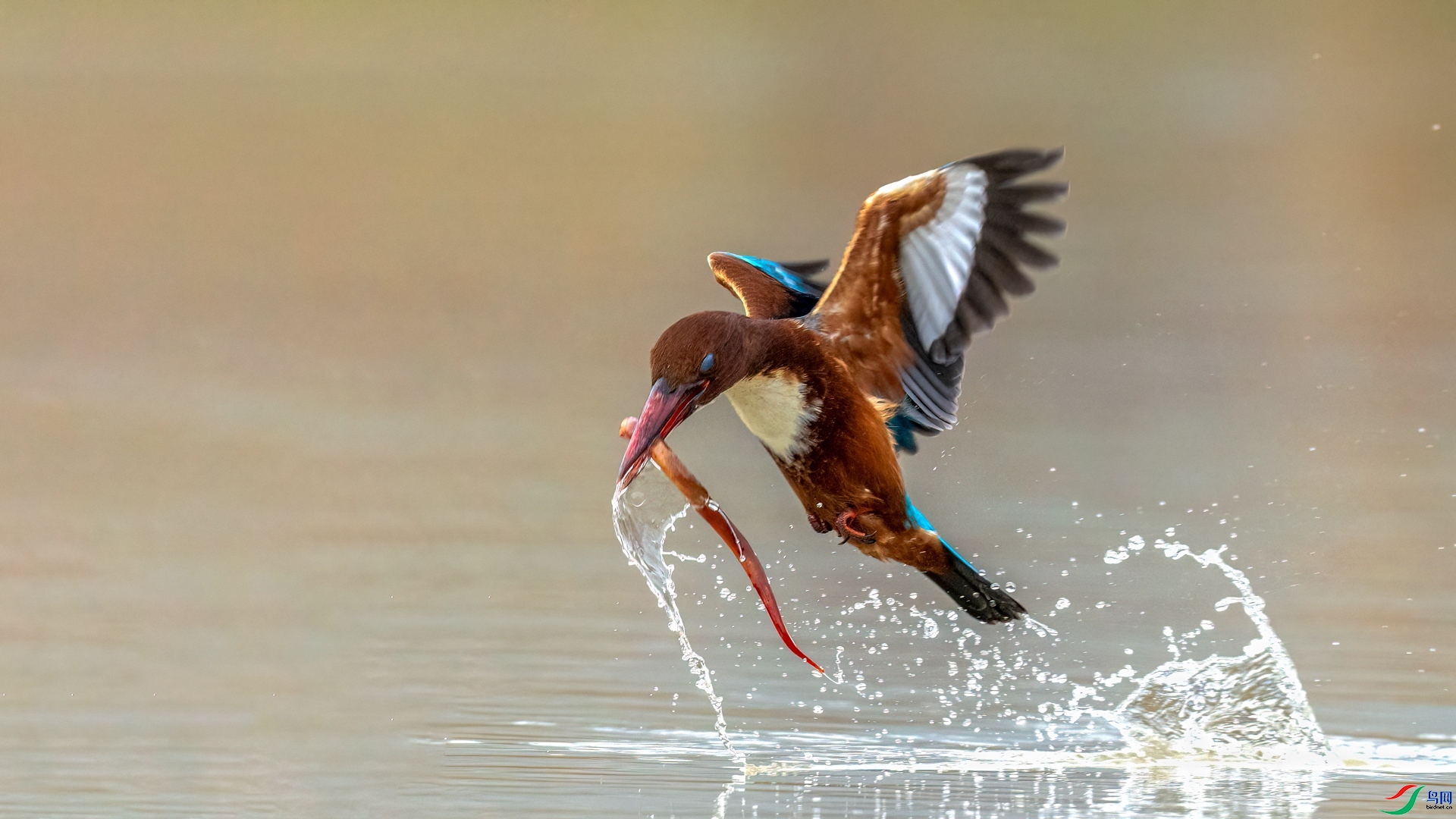 10.24�����ʦ��Ʒ   Ұ������   �ٻ�2023��10��24����Ӱʦ��ҳ����.jpg