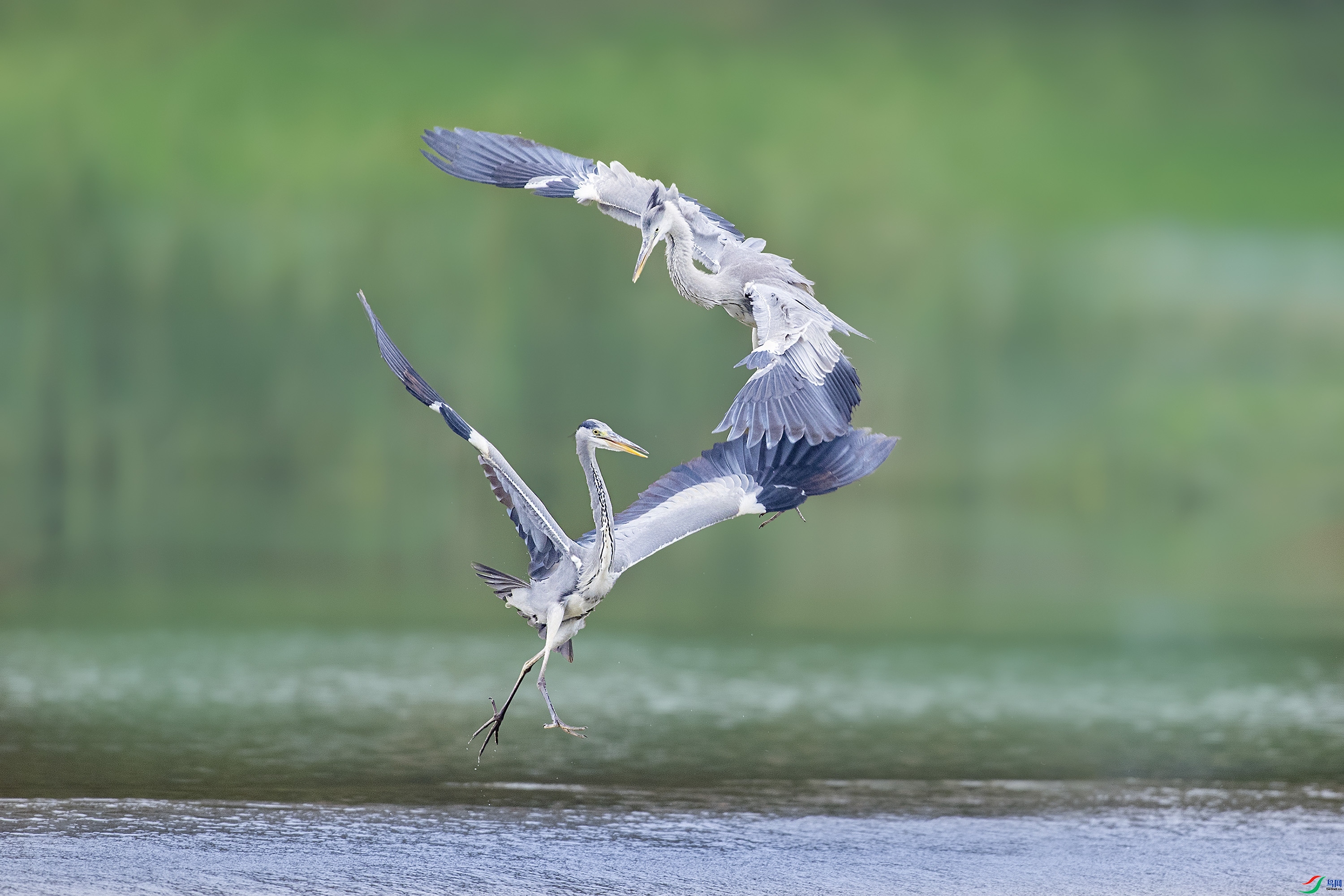 10.2**��Լ����ʦ��Ʒ   �貨����   �ٻ�2023��10��24�ջ�Ա��ҳ����.jpg