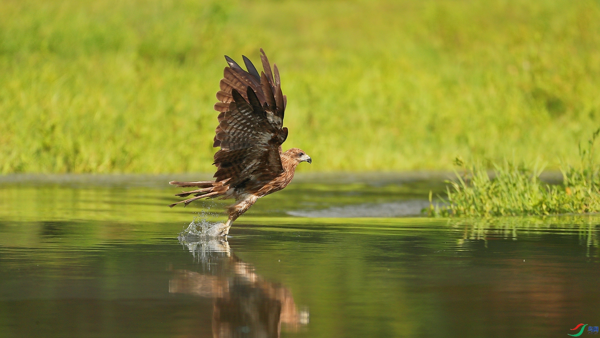 10.24������ʦ��Ʒ   ��׼һ��   �ٻ�2023��10��24����Ӱʦ��ҳ����.jpg