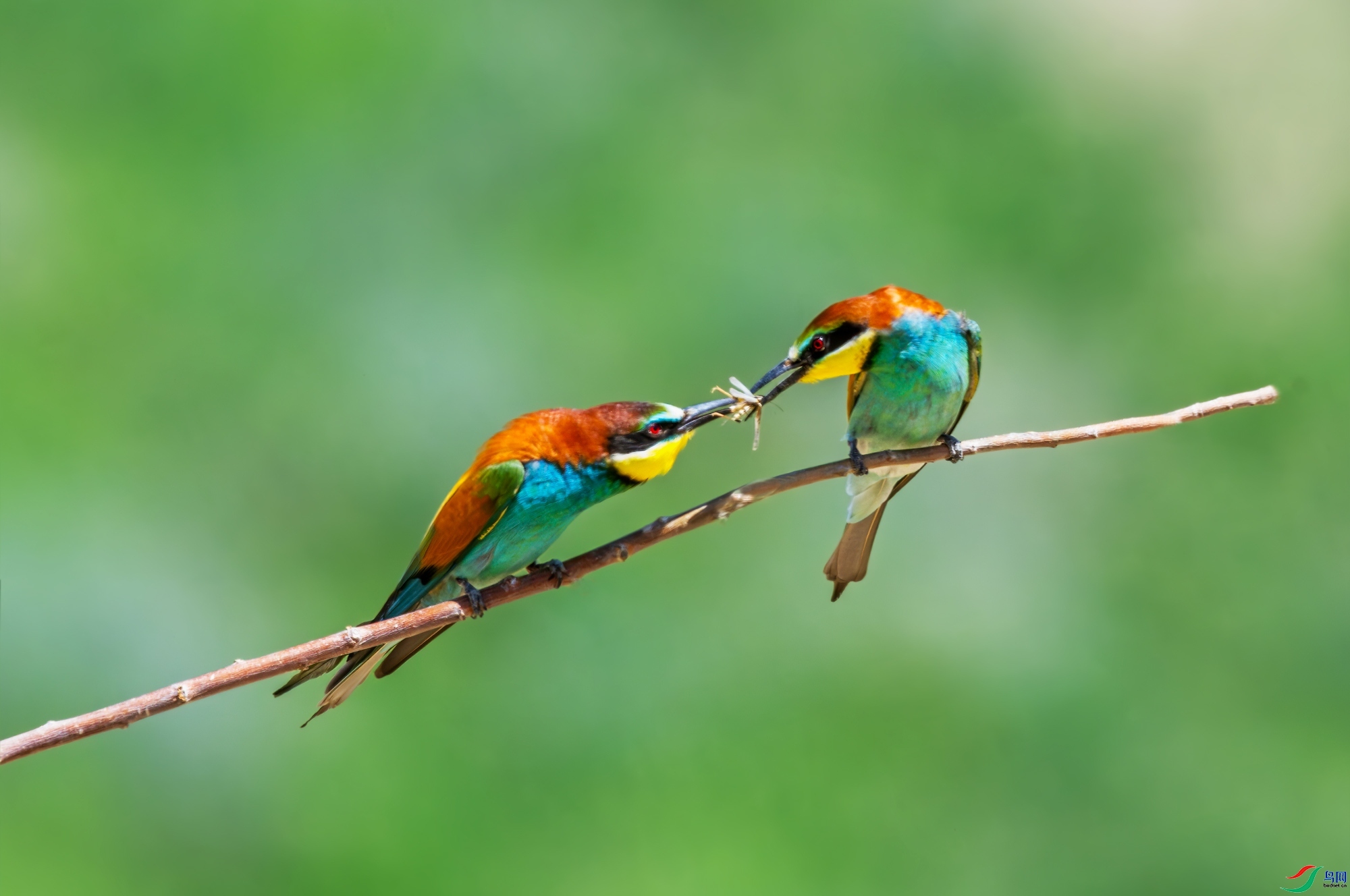 10.25����������ʦ��Ʒ   �� �� ��   �ٻ�2023��10��25�հ�����ҳ����.jpg