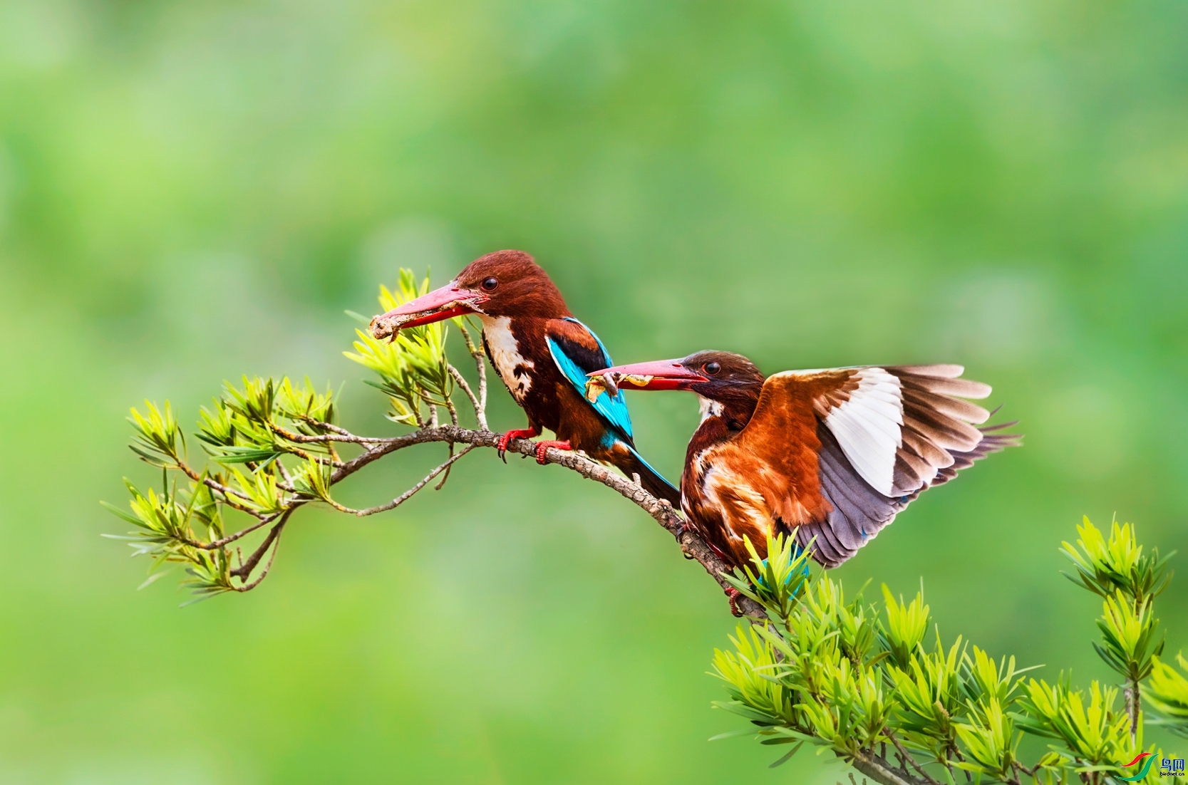 10.26���ʿ���ʦ��Ʒ  �������һ��   �ٻ�2023��10��26��������ҳ����.jpg