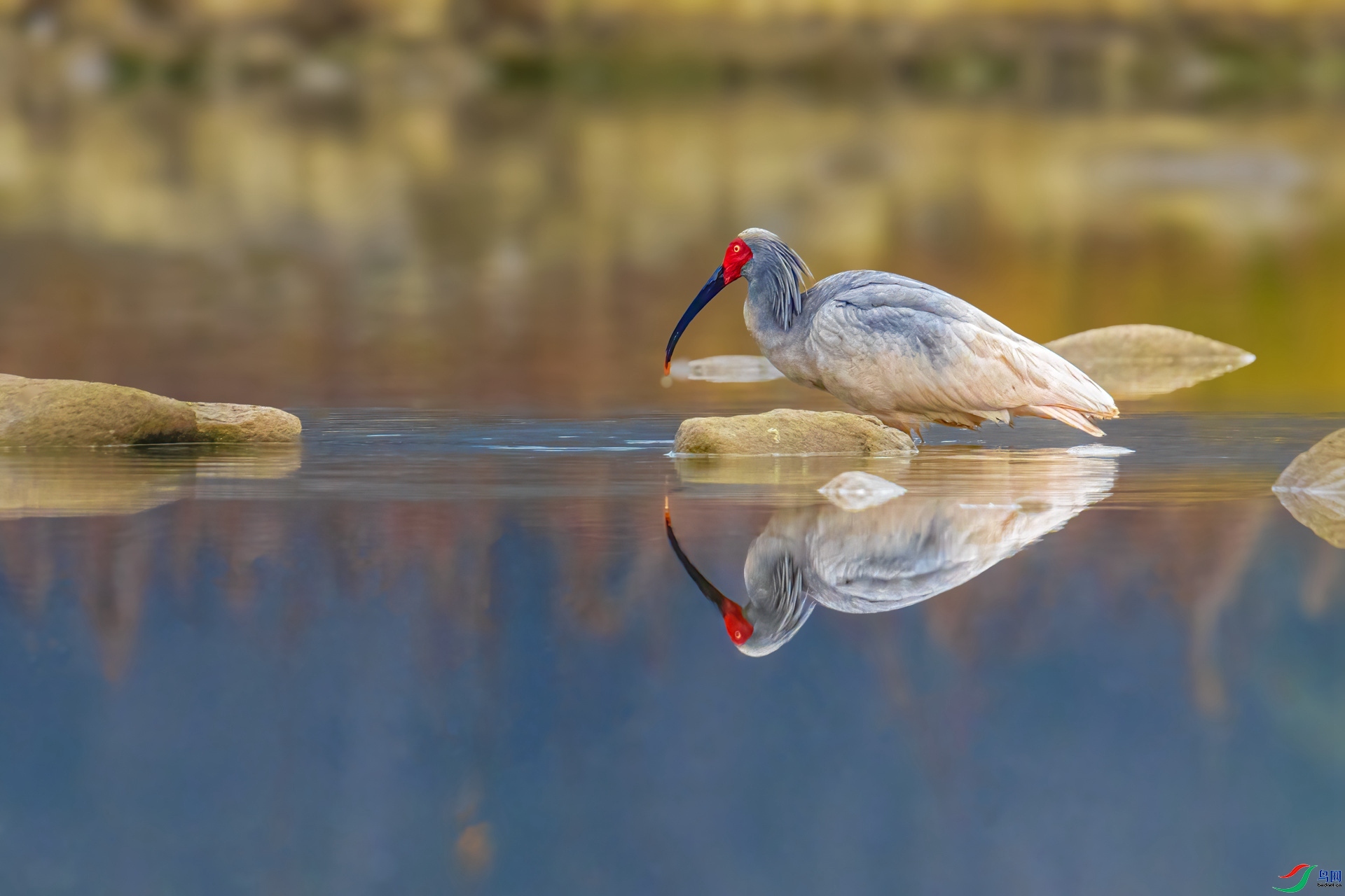 10.26������ڡ��ʦ��Ʒ   ˮ�е�Ӱ   �ٻ�2023��10��26��������ҳ����.jpg