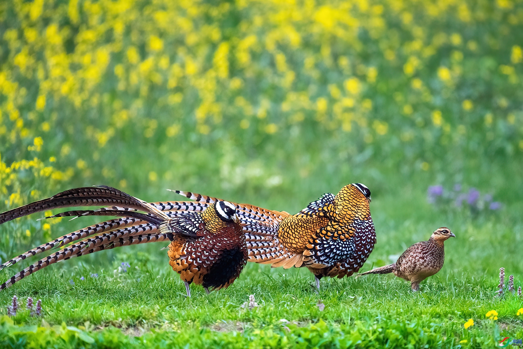 10.26����������ʦ��Ʒ   �������   �ٻ�2023��10��26�ջ�Ա��ҳ����.jpg