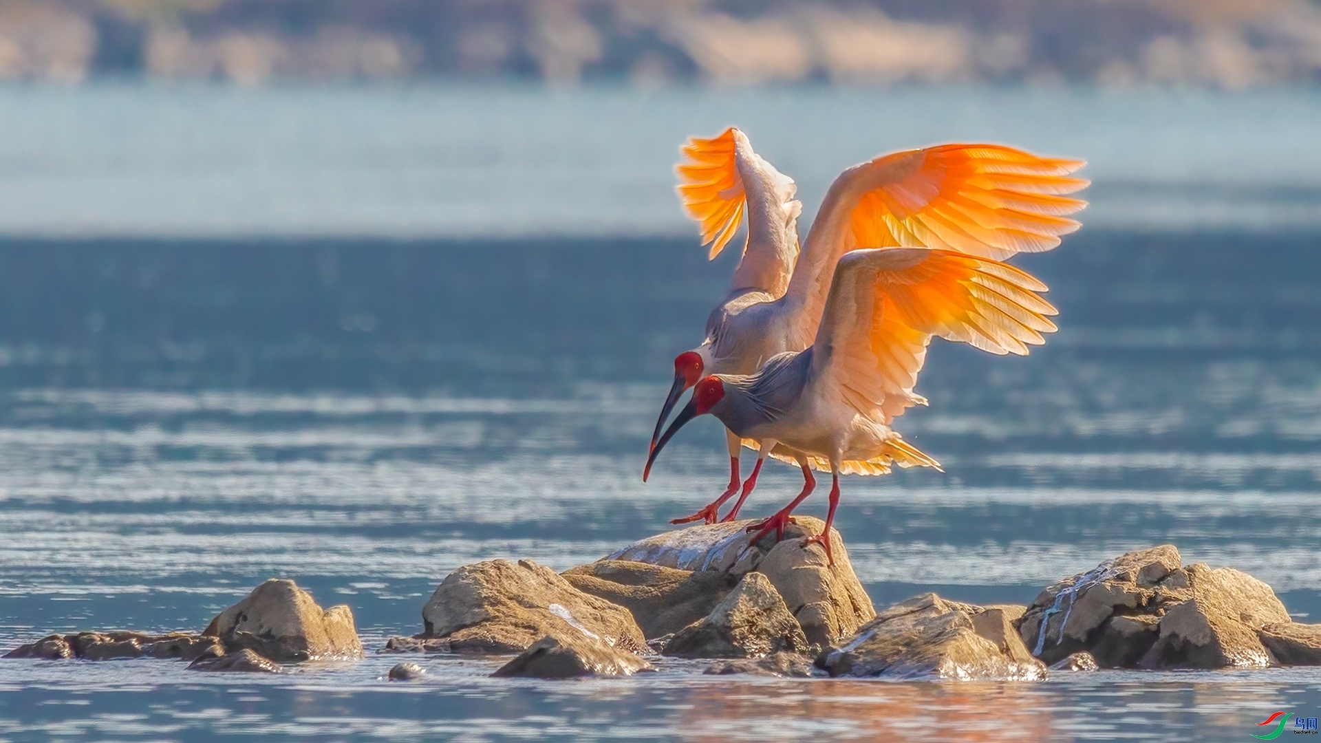 10.26Դ����Ȼ��ʦ��Ʒ  ����Ͷ��ϡ�   �ٻ�2023��10��26�հ�����ҳ����.jpg