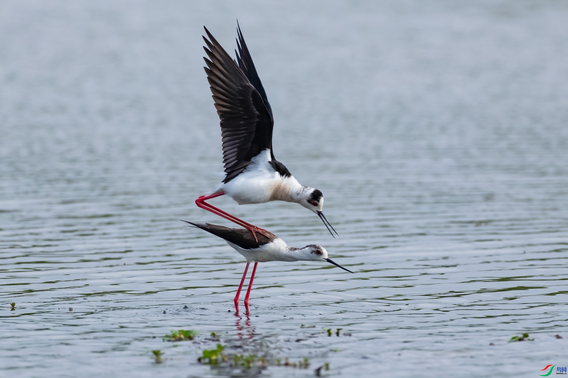 10.27��ʯɽ����ʦ��Ʒ   ������   �ٻ�2023��10��27��������ҳ����.jpg