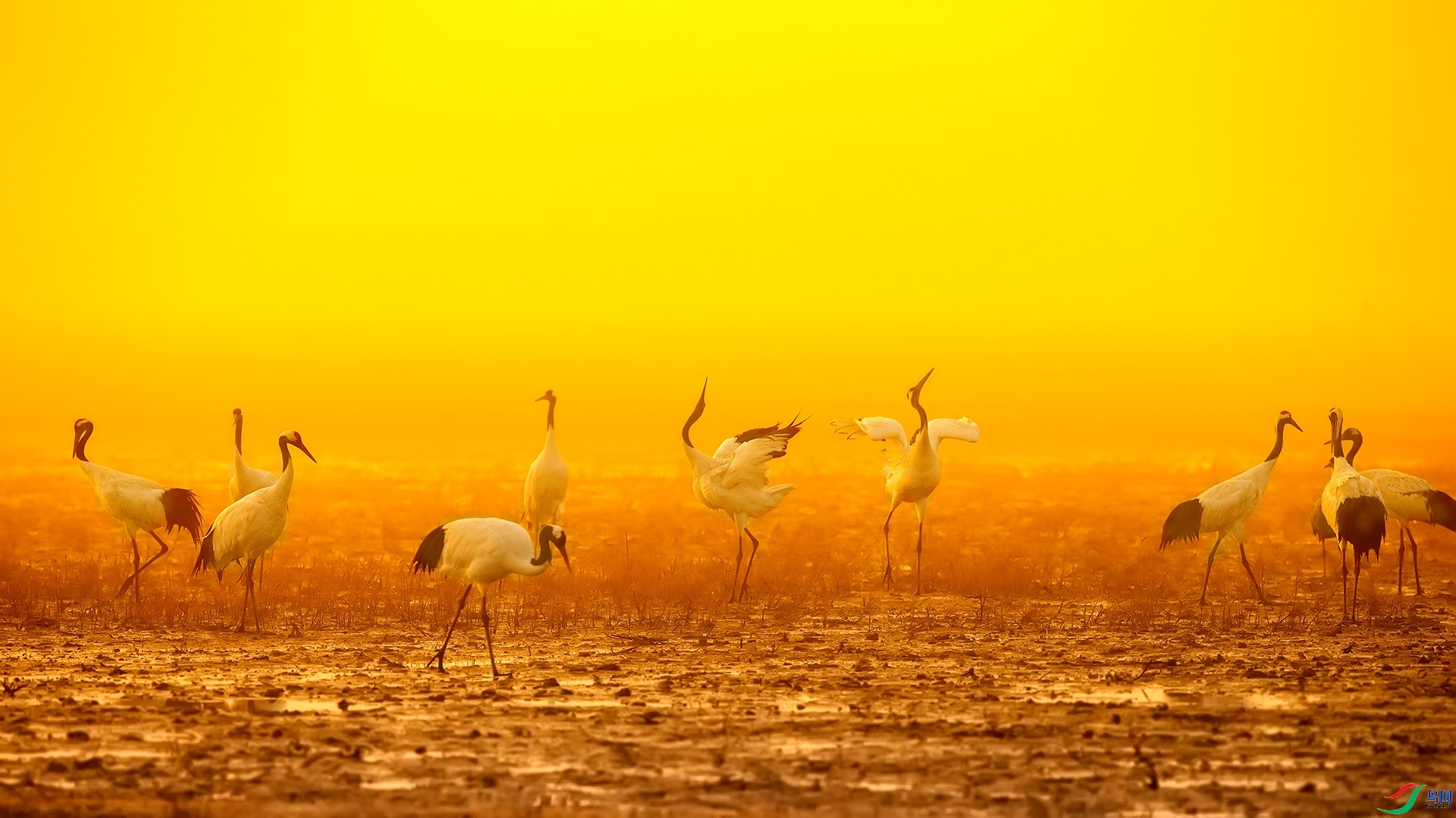 10.27��ҶŮʿ��ʦ��Ʒ   ��   �ٻ�2023��10��27����Ӱʦ��ҳ����.jpg