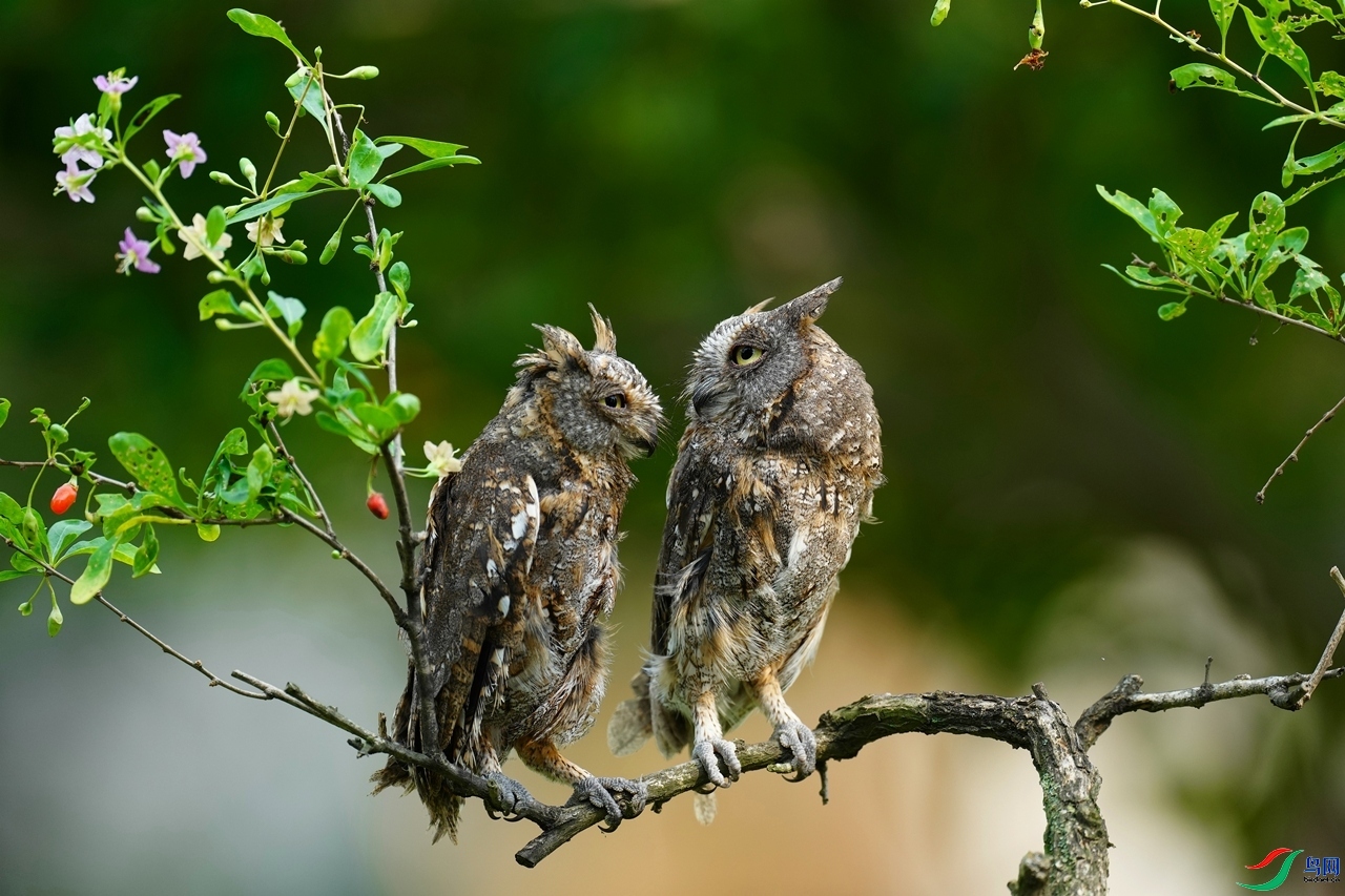 10.28��ƽ��ʦ��Ʒ   ����^   �ٻ�2023��10��28����Ӱʦ��ҳ����.jpg