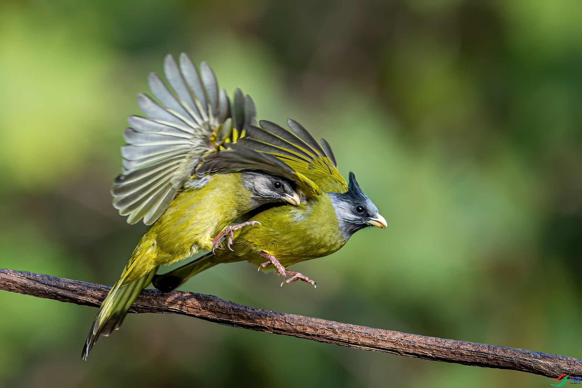 10.28������ʦ��Ʒ   ���ȿֺ�   �ٻ�2023��10��28����Ӱʦ��ҳ����.jpg