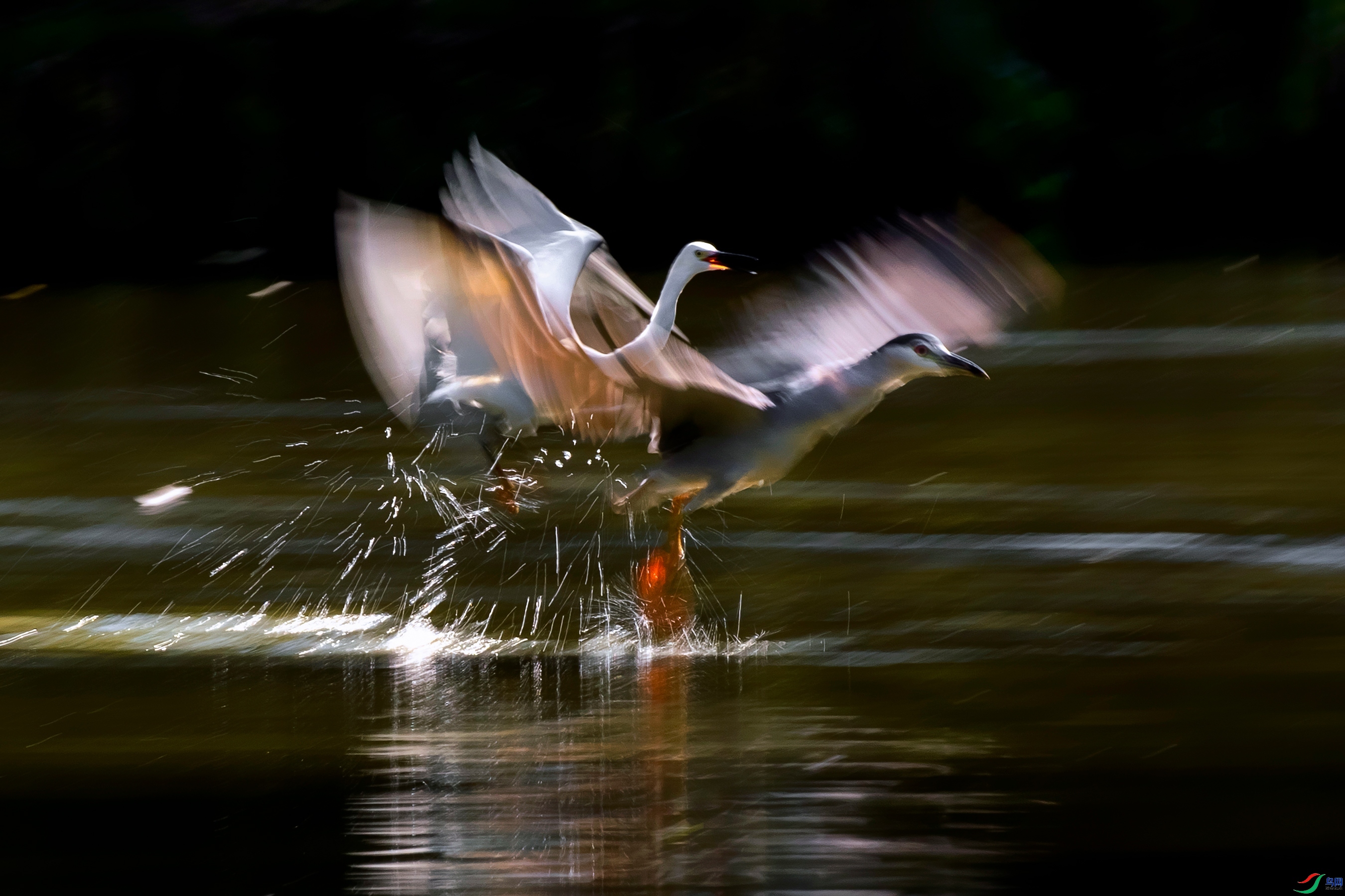 10.28Hsia��ʦ��Ʒ   �׼Ӻ�   �ٻ�2023��10��28�հ�����ҳ����.jpg