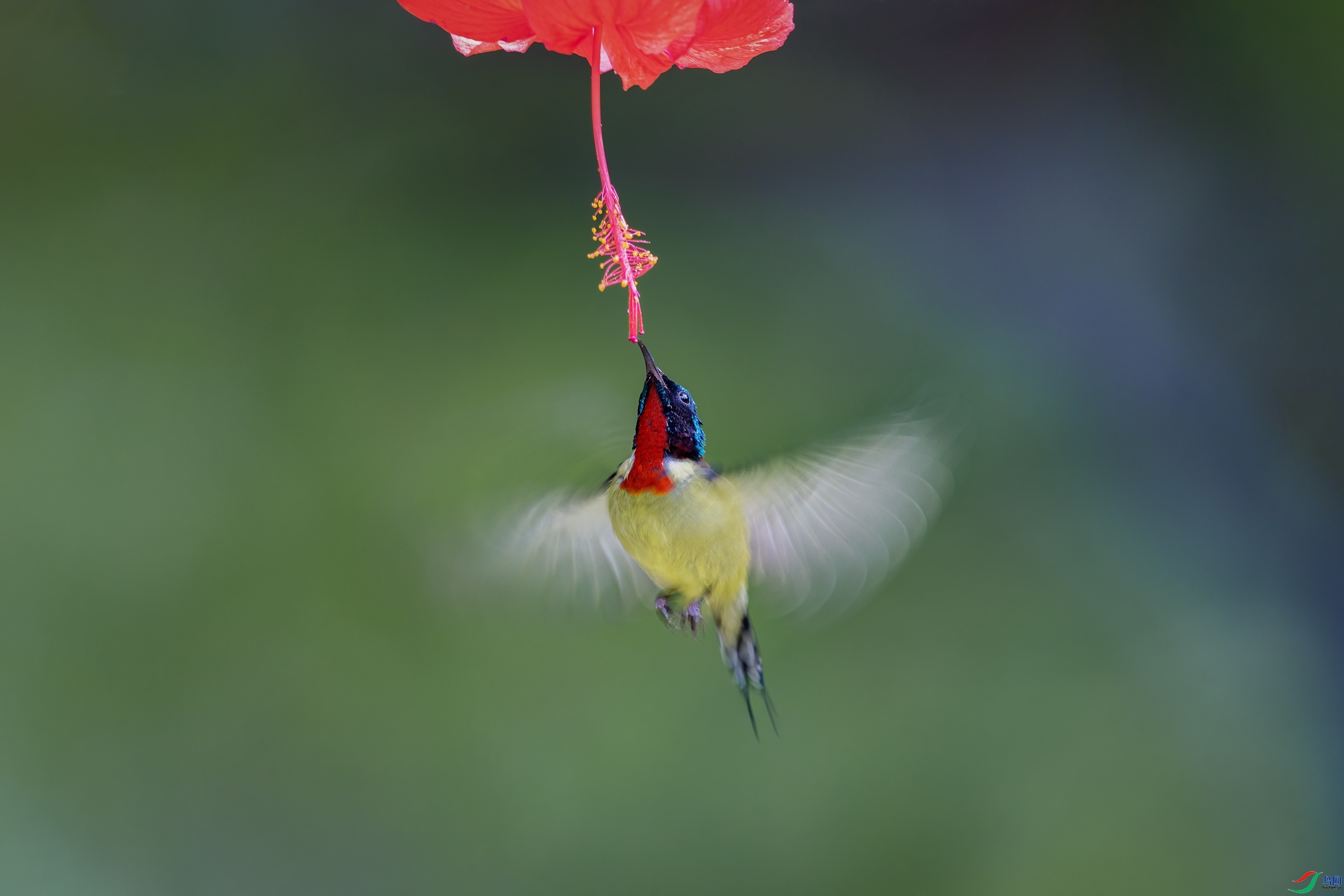 10.28Դ����Ȼ��ʦ��Ʒ  ����ĩ��졿   �ٻ�2023��10��28�հ�����ҳ����.jpg