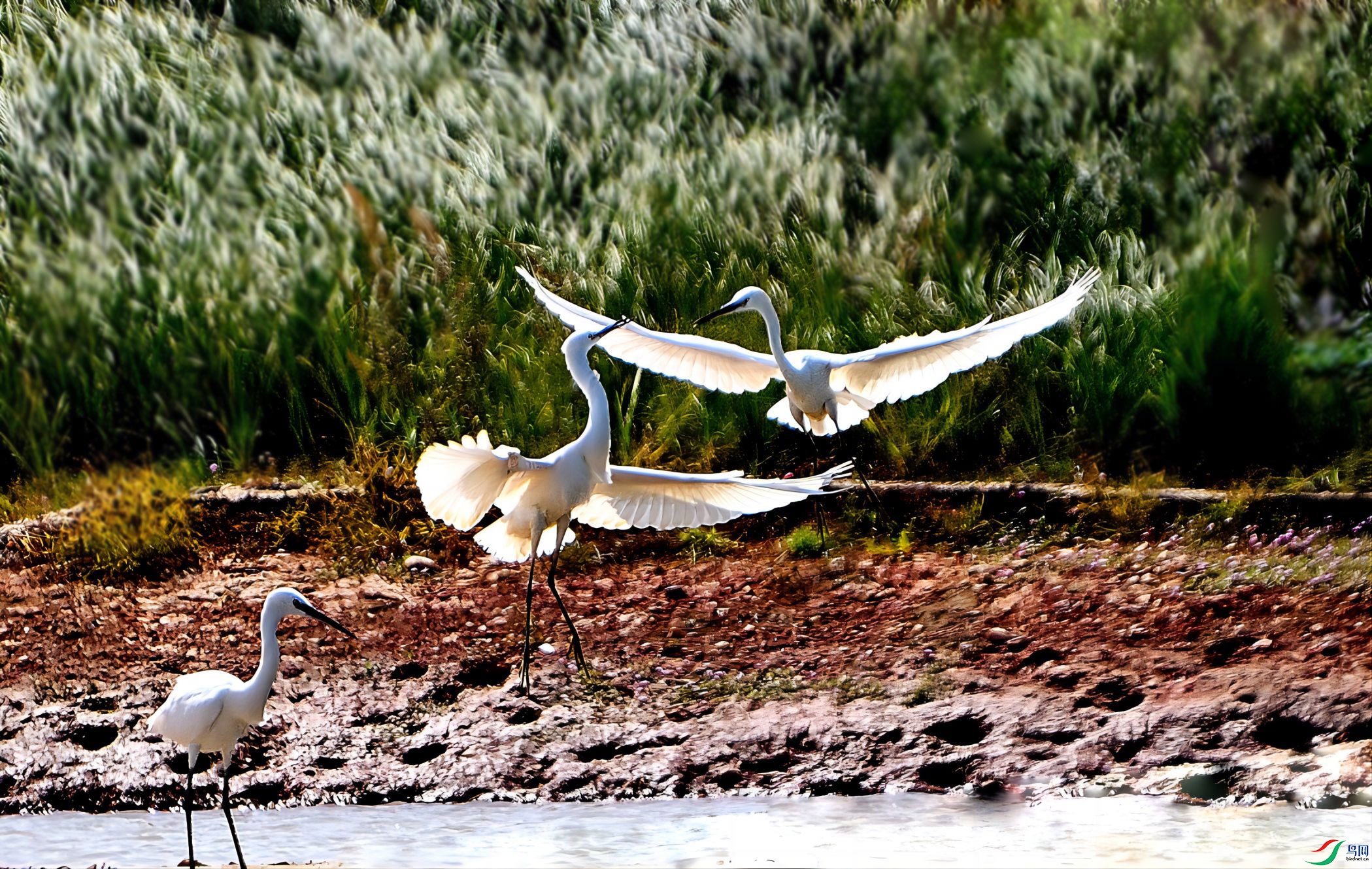 DSC_2254_317pp.jpg