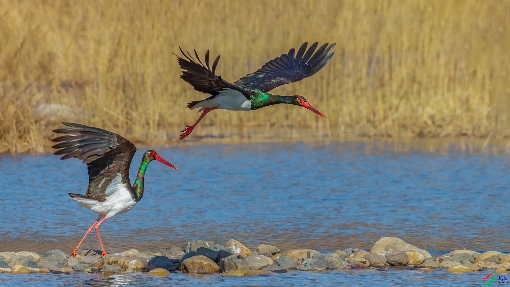 10.28׷������ʦ��Ʒ   ����   �ٻ�2023��10��28��������ҳ����.jpg