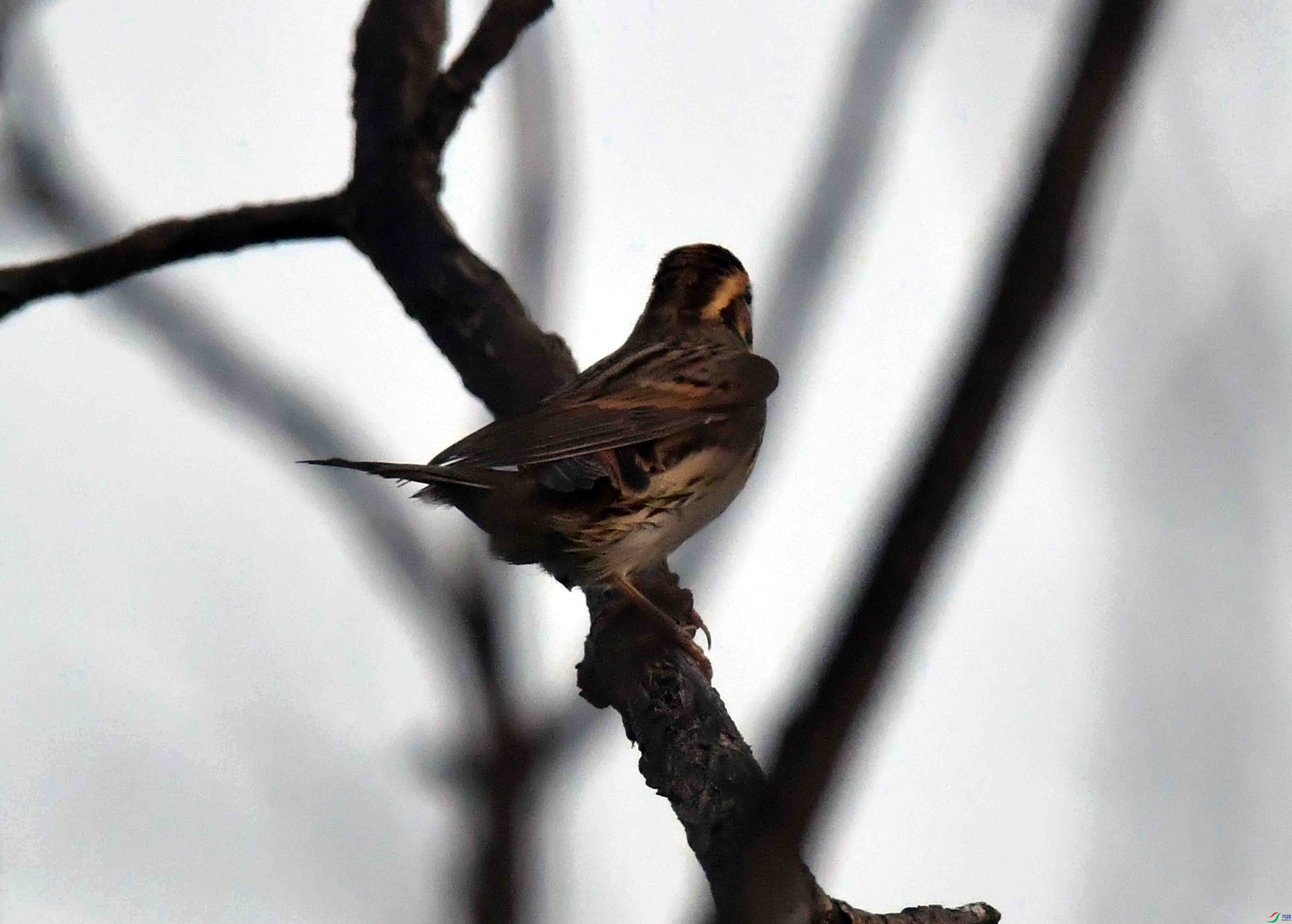 DSC_4061.JPG