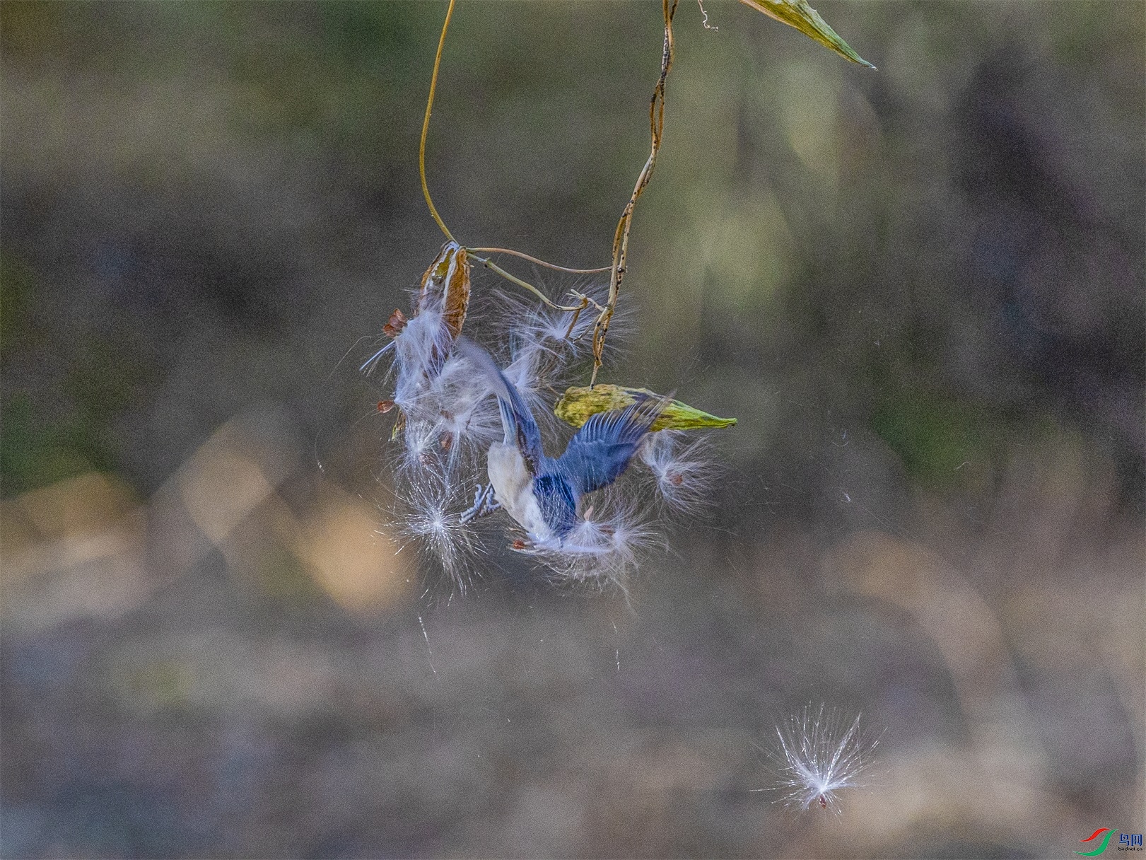 1K3A4525 ����1.jpg