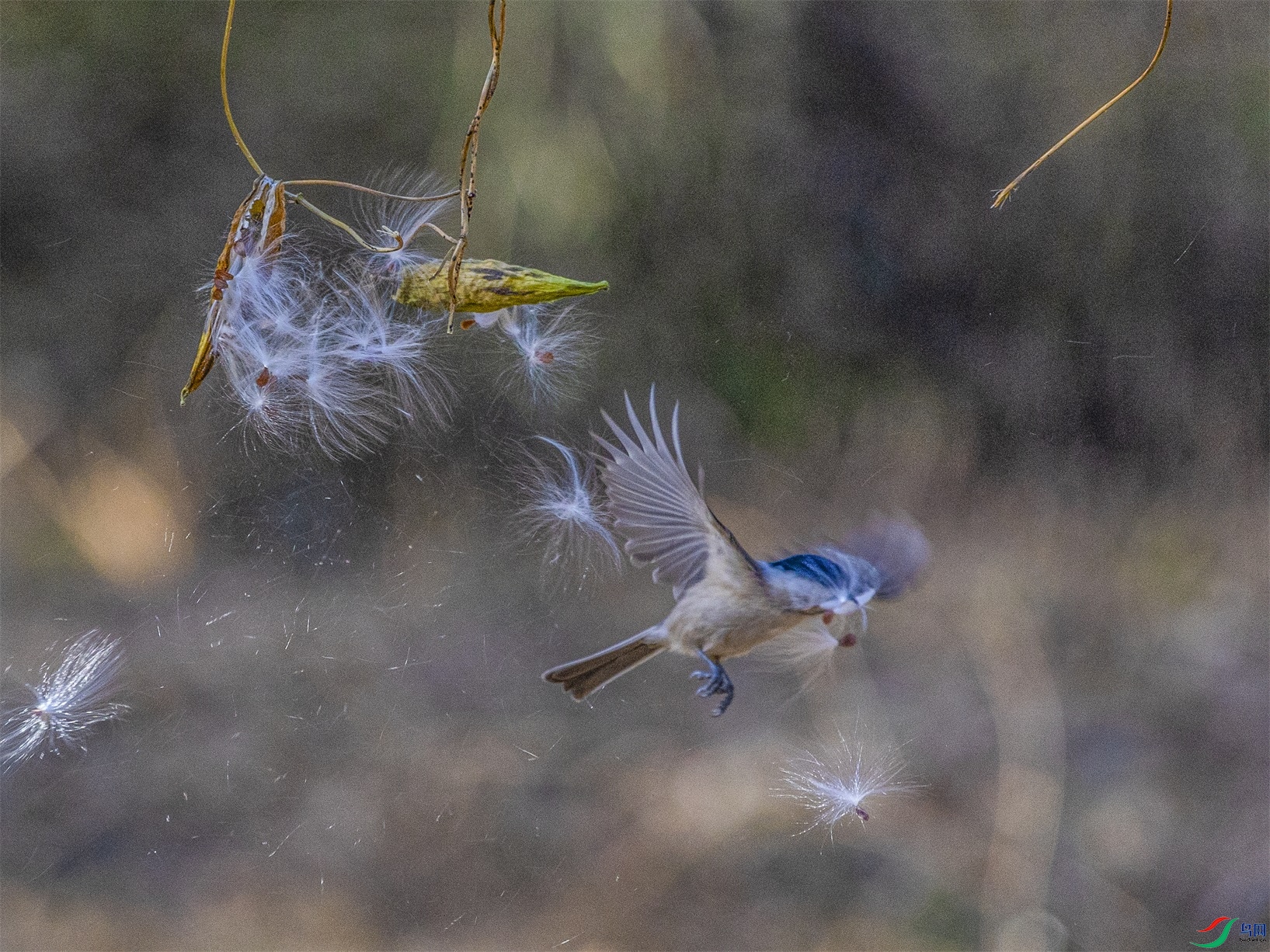 1K3A4528 ����1.jpg