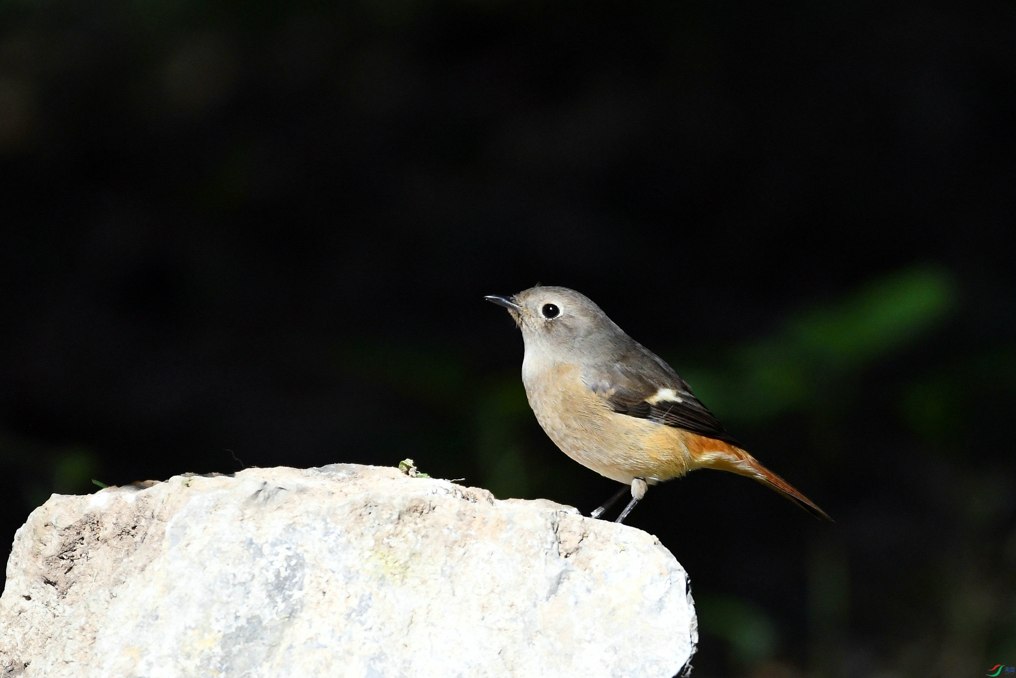 DSC_5665.JPG