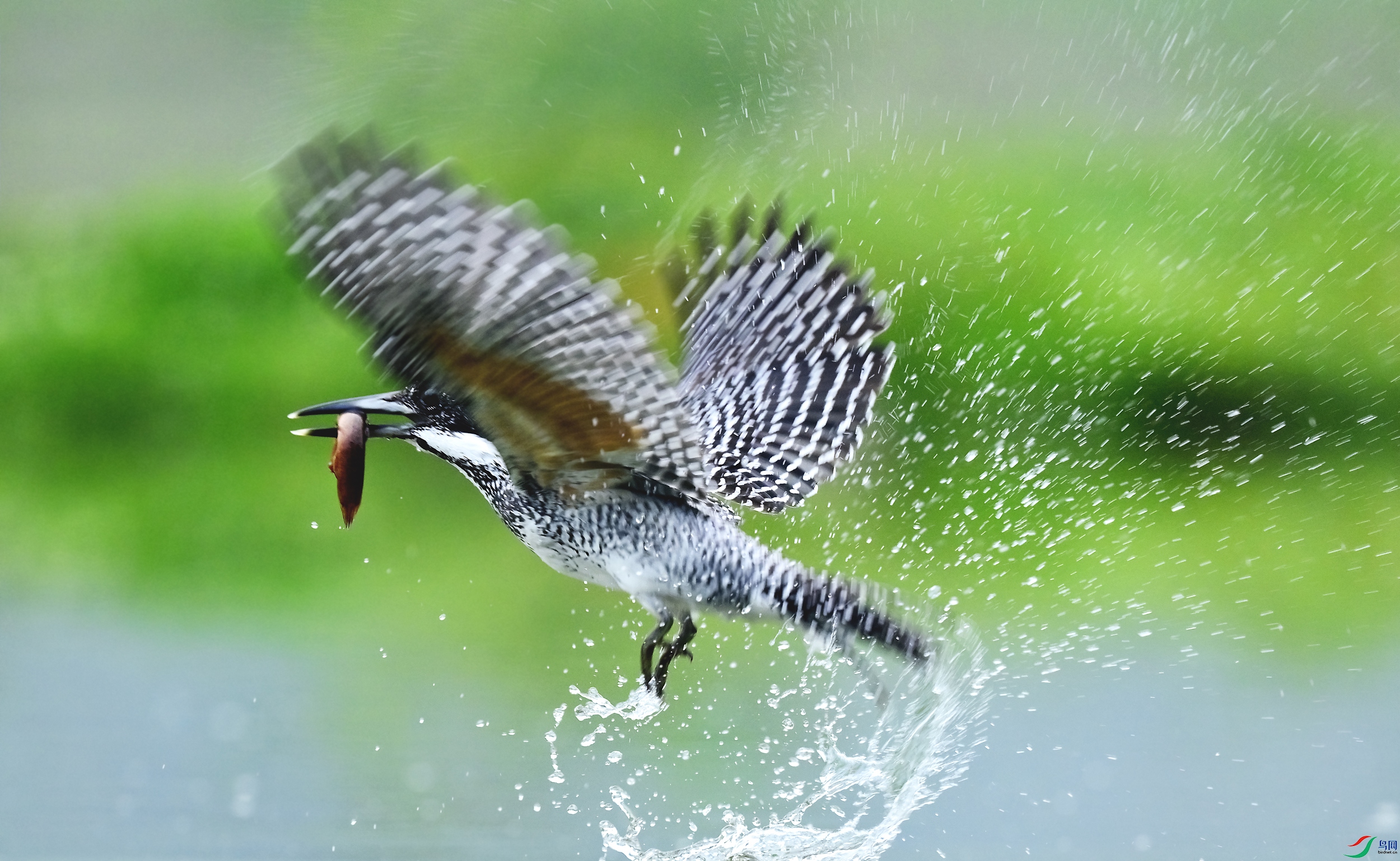 _DSC7237x.jpg