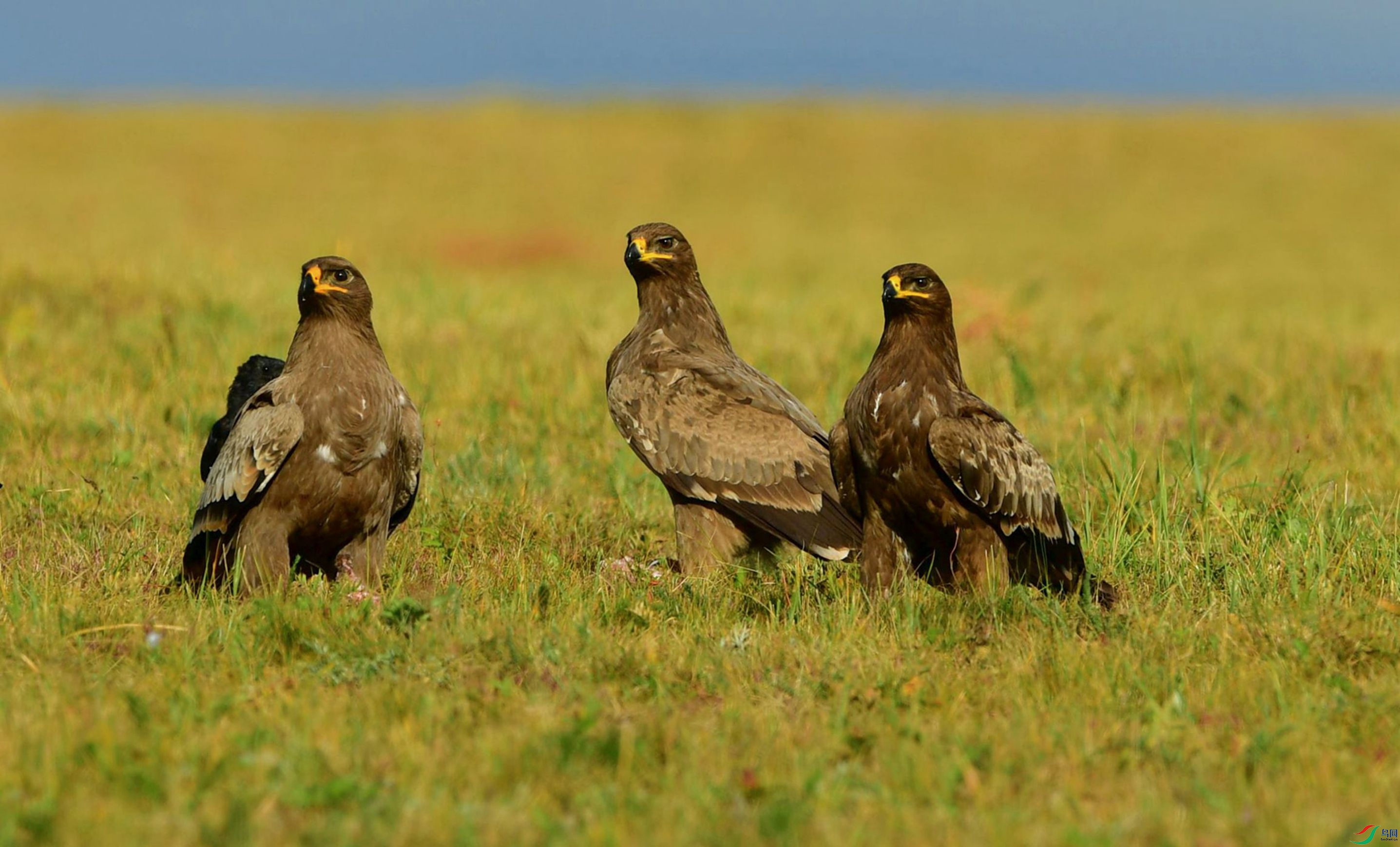 ��������¶ֻ�ۡ�