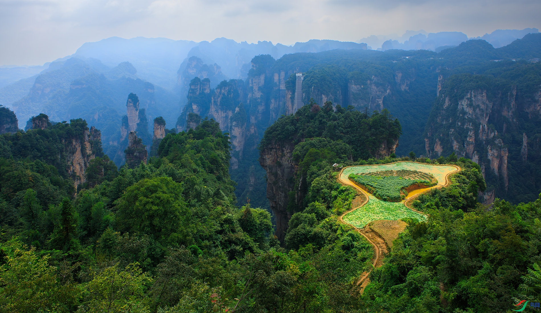 4187 ����.jpg