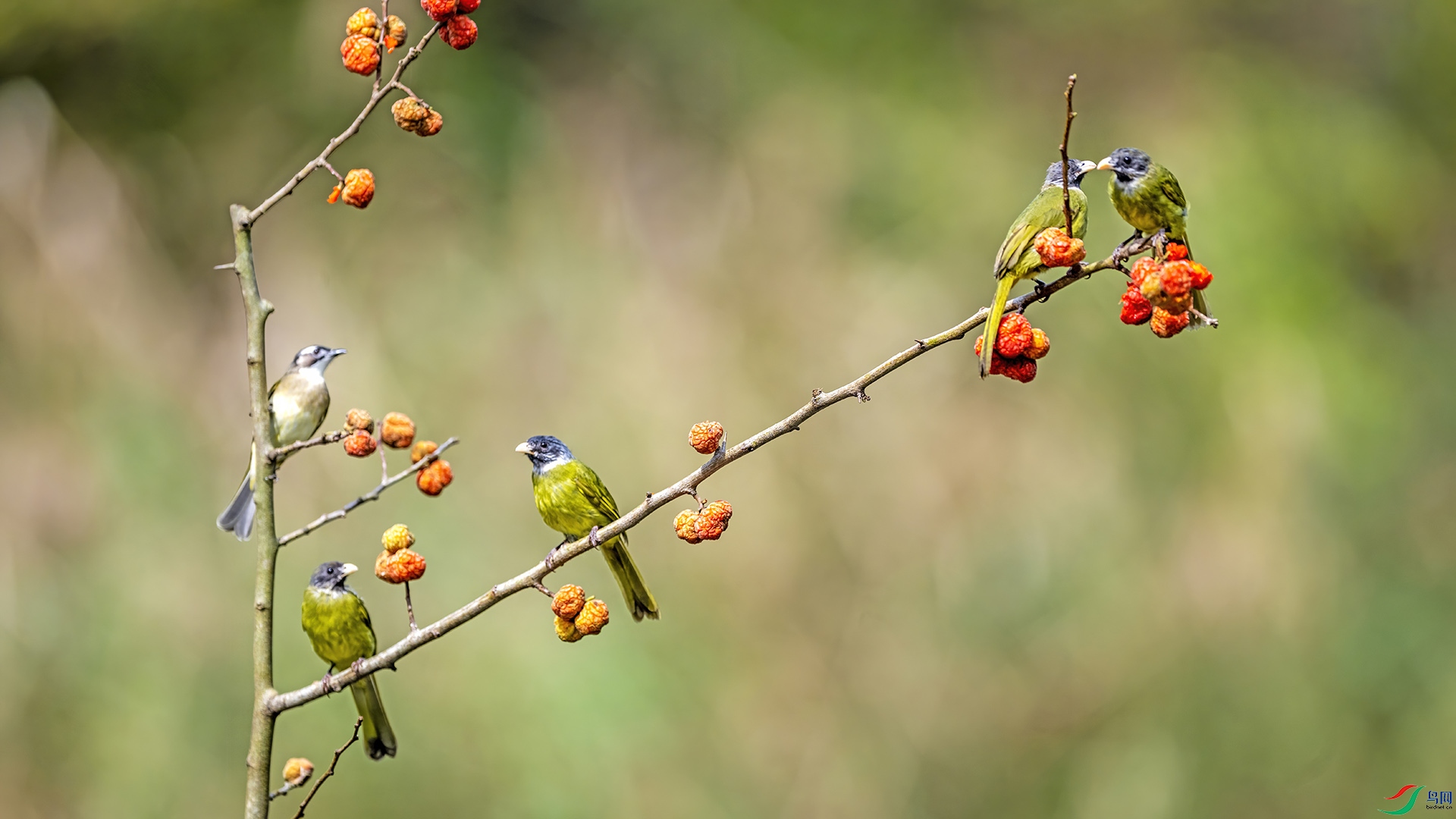 DSC_2863 ����-.jpg