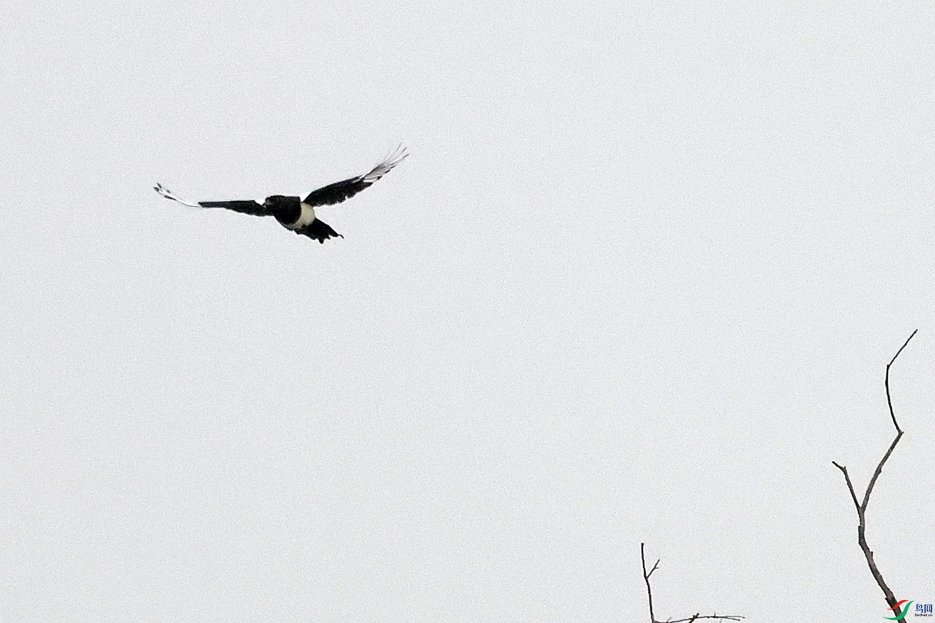 2G9A0602.JPG