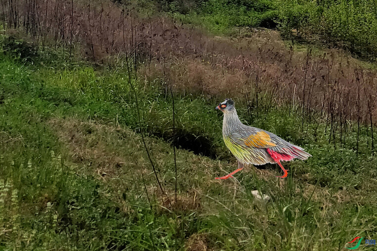 IMG_2404 ��ѹ����.jpg